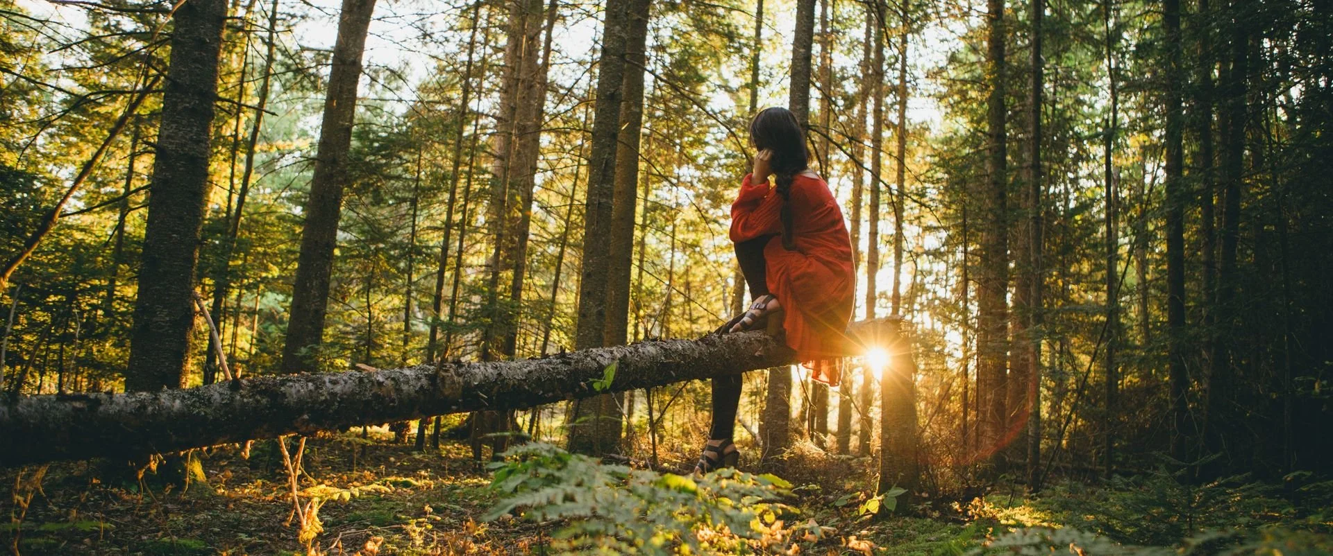 A woman in a red coat sitting on a fallen tree in a forest during sunset, surrounded by tall trees, with sunlight filtering through the leaves.