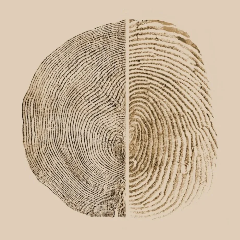 A side-by-side comparison of a fingerprint, with the left side showing a black fingerprint pattern on a light background, and the right side showing a brown fingerprint pattern on a light background.