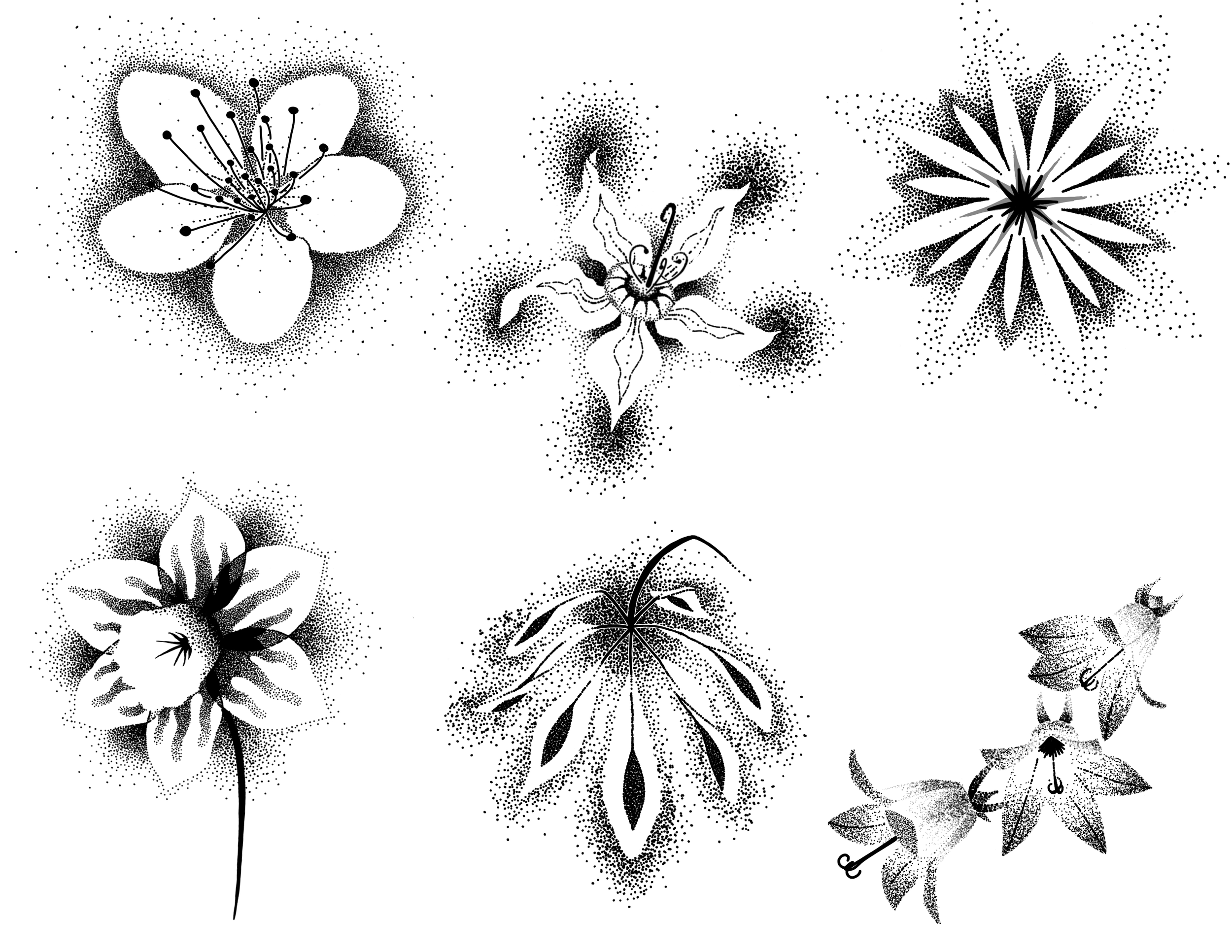 IMG_2604.png