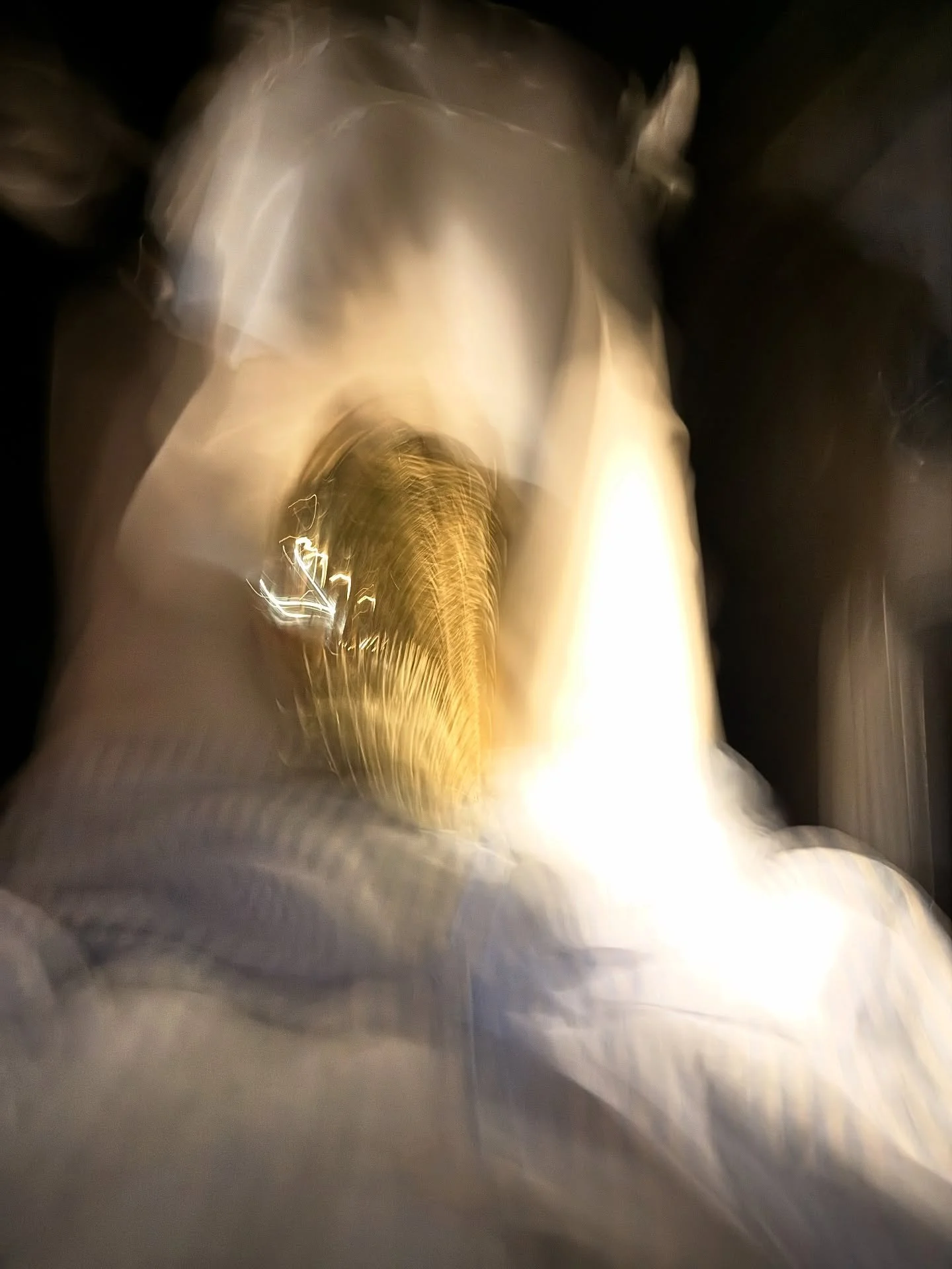 Before the winter looks begin, here&rsquo;s a little throwback to the sunny start of my November.
Flight after flight, but moments in the sun always feel like home. ☀️✈️
Part I &mdash; more to come.

#novemberdiary #sunnyvibes #falltravel #fashiondia