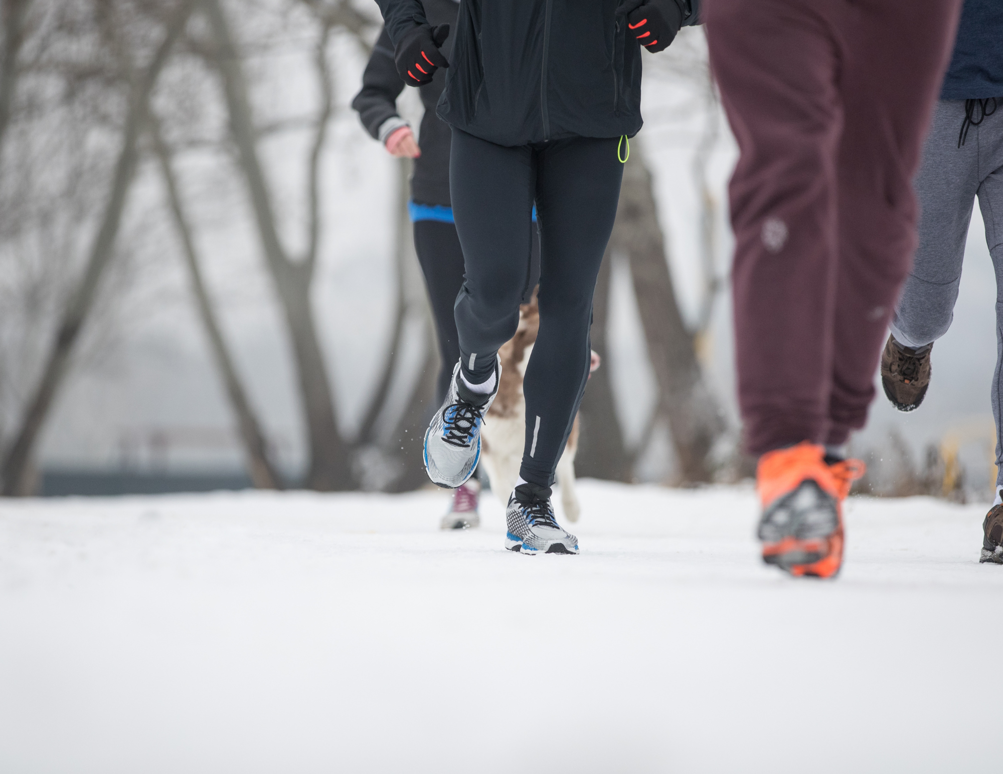 Mindful Miles Trail Runs/Hikes for Parents