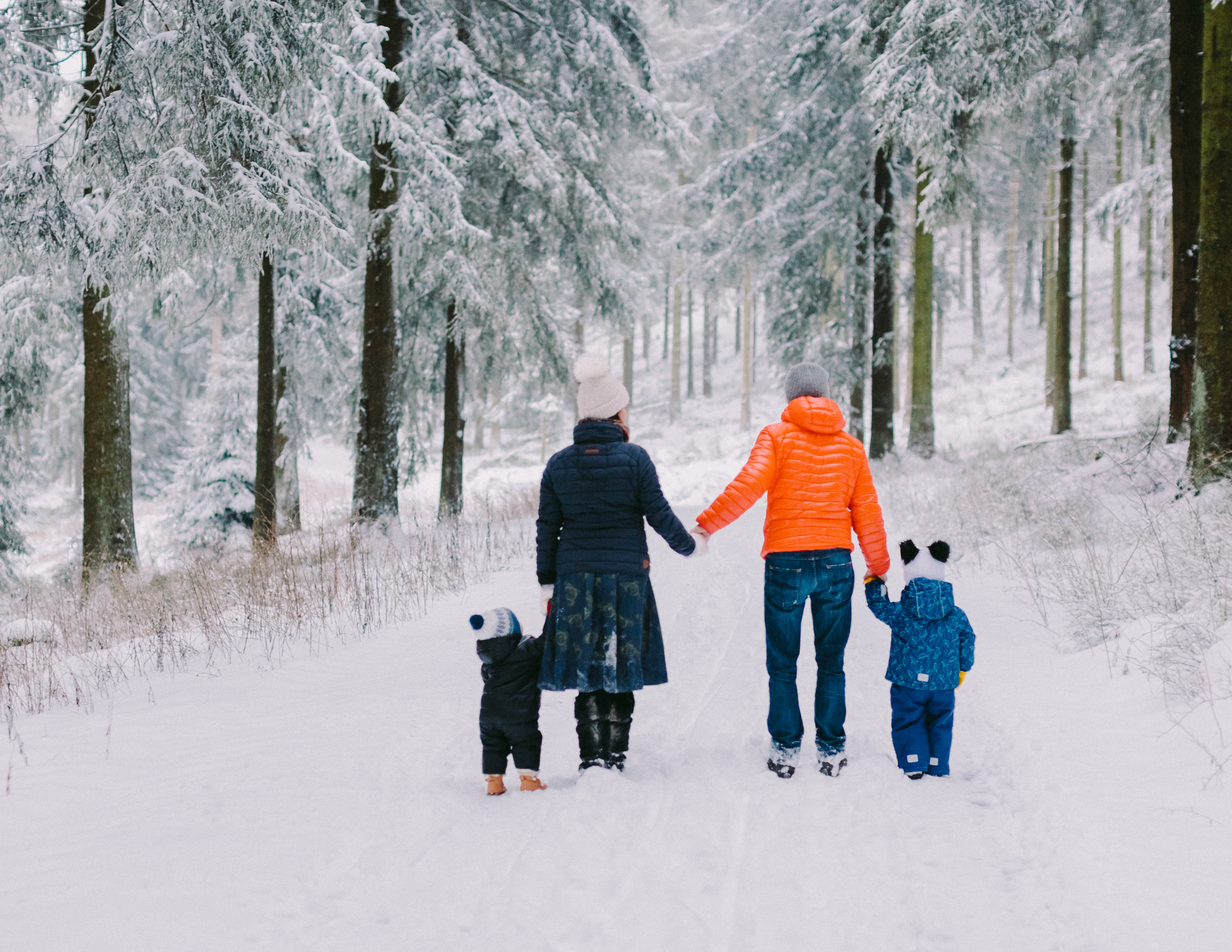 Parents &amp; Tykes Hike - First One of 2026!