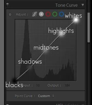 Stop Ignoring the Most Powerful Tool in Lightroom: The RGB Tone Curve (see my viral reel down below)