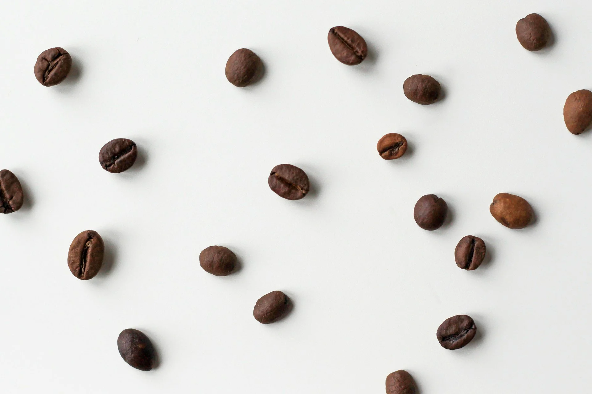Coffee beans on a white background, highlighting caffeine, natural energy and coffee as a pre-workout ingredient.
