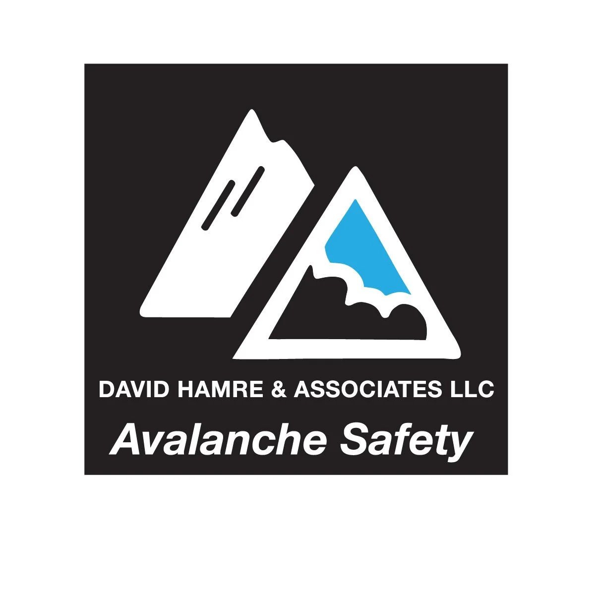 David_Hamre_Logo.JPG