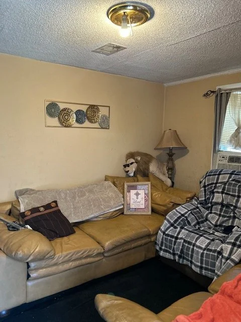 Spring -Unit B-Living 2.jpg
