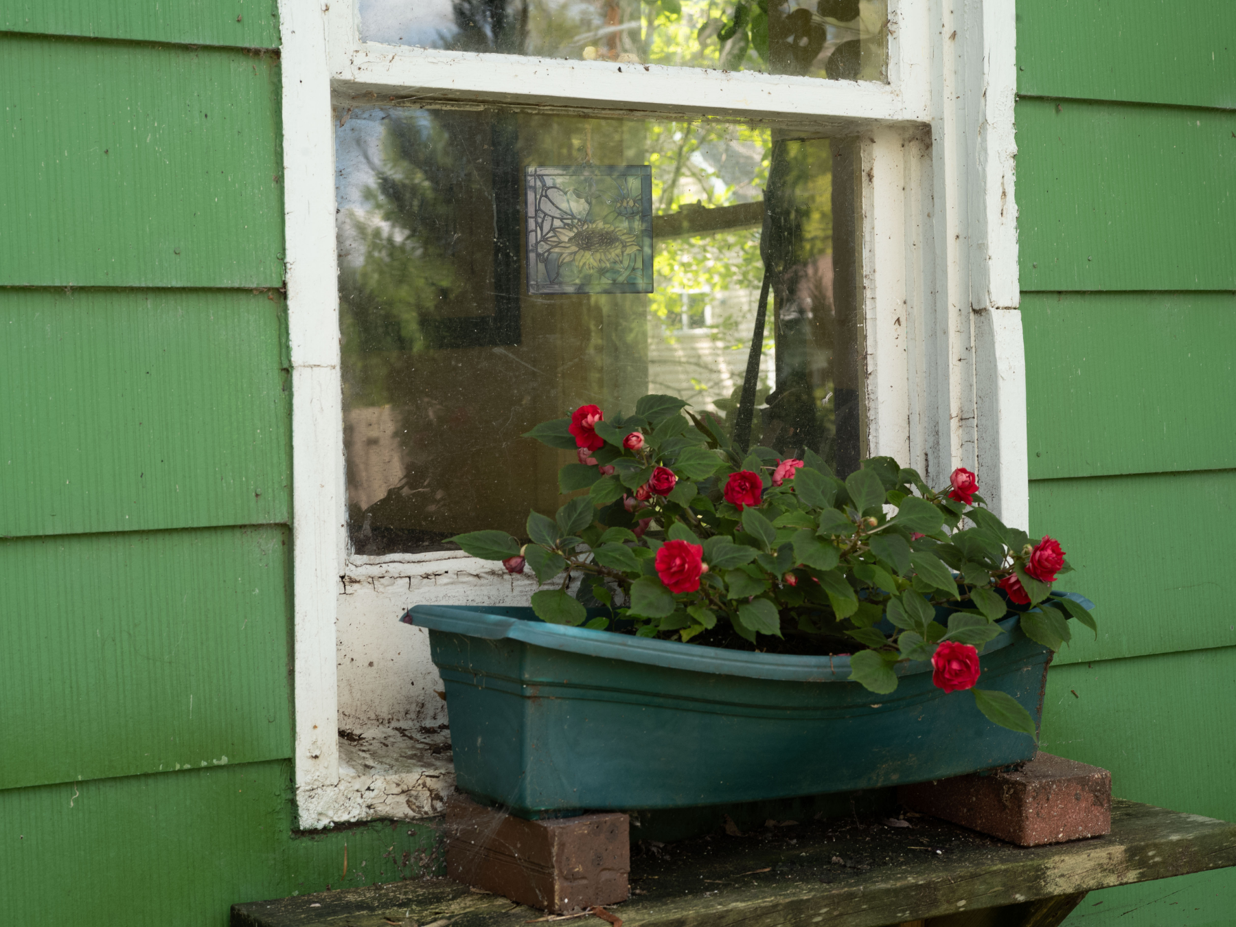 A window with green siding on a house, with a blue planter box filled with pink flowers below the window, resting on a wooden shelf supported by bricks.