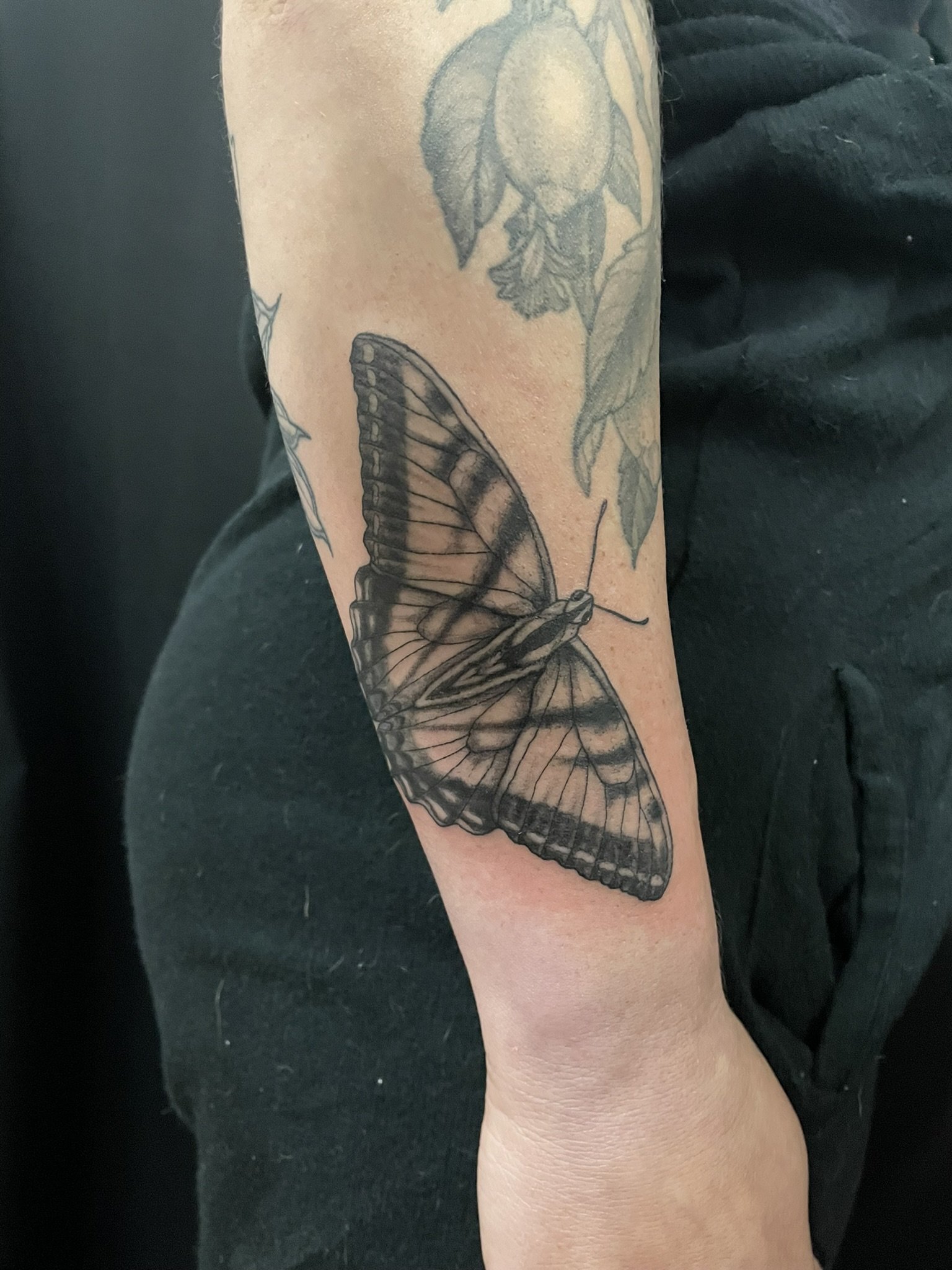 image17.jpeg