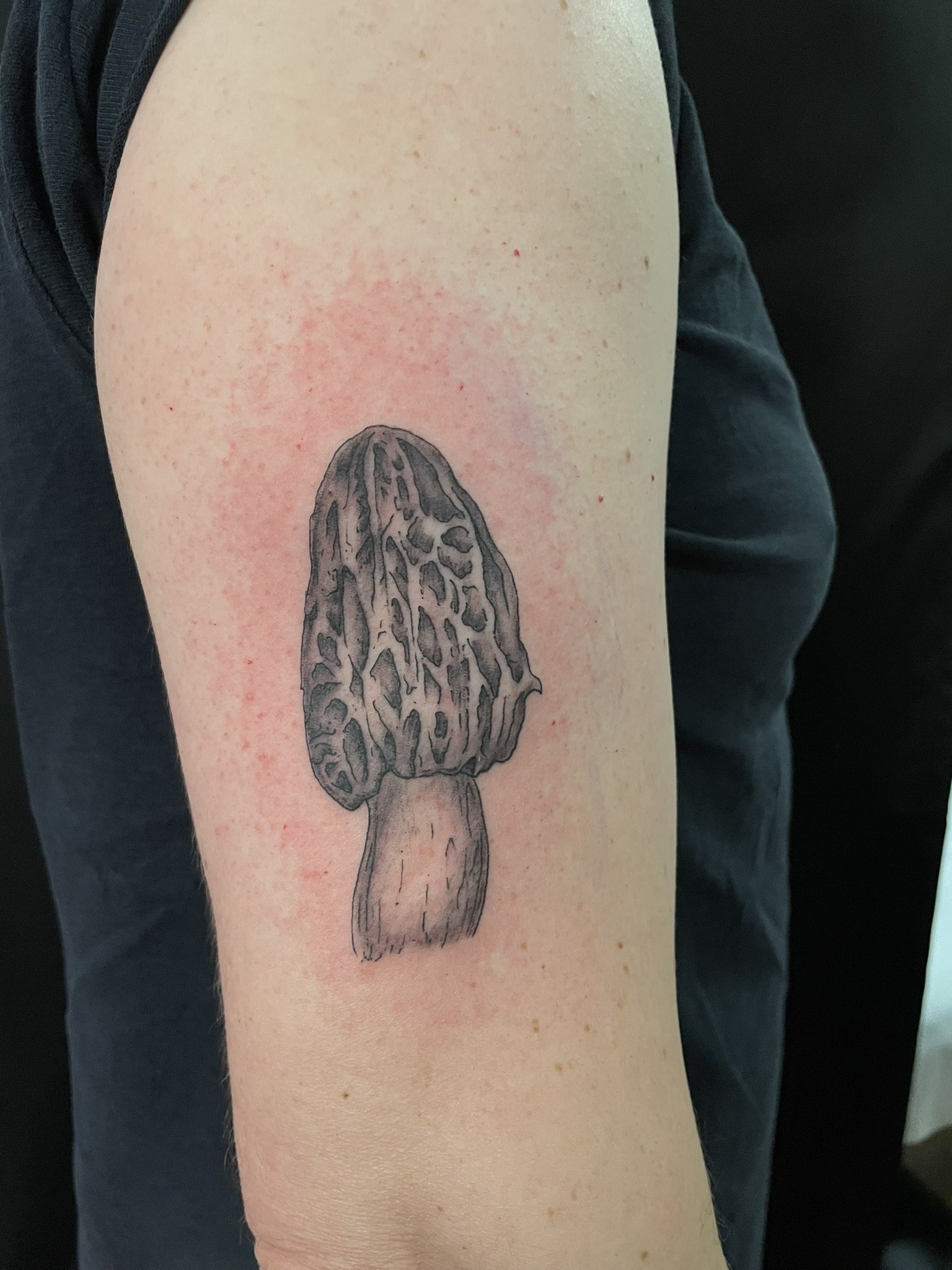 image11.jpeg