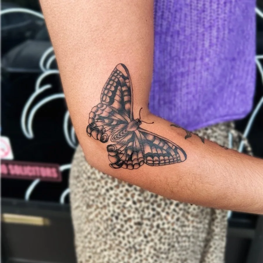 hinge butterfly.jpeg