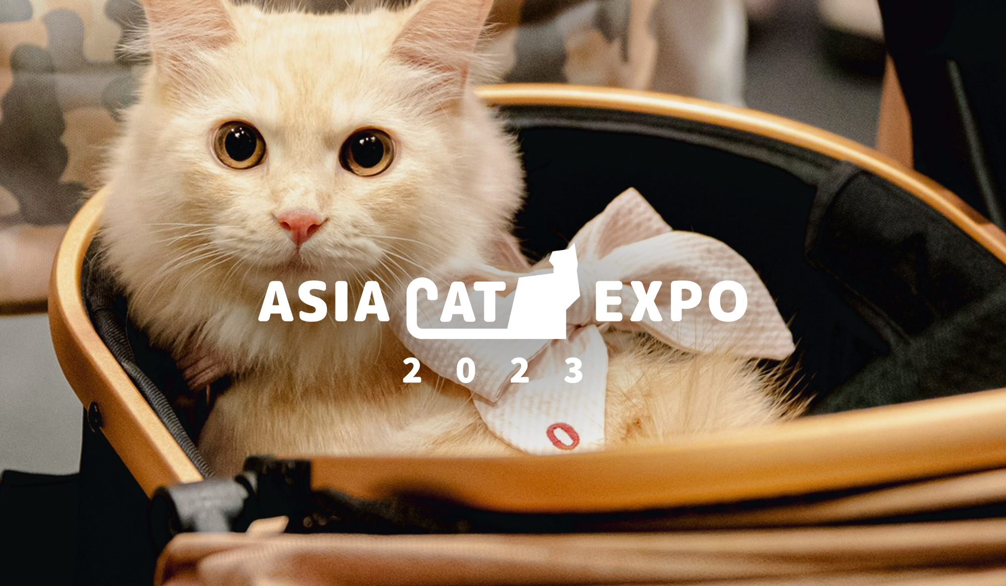 Asia Cat Expo 2023