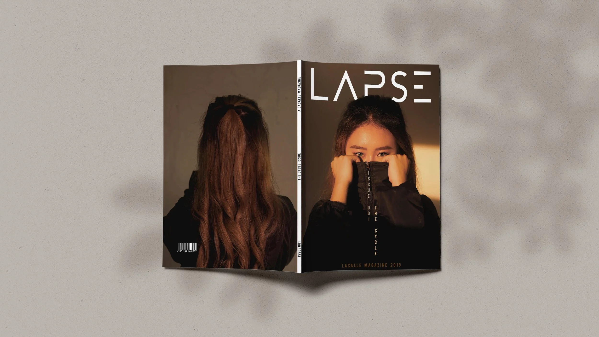 lapse002.jpg