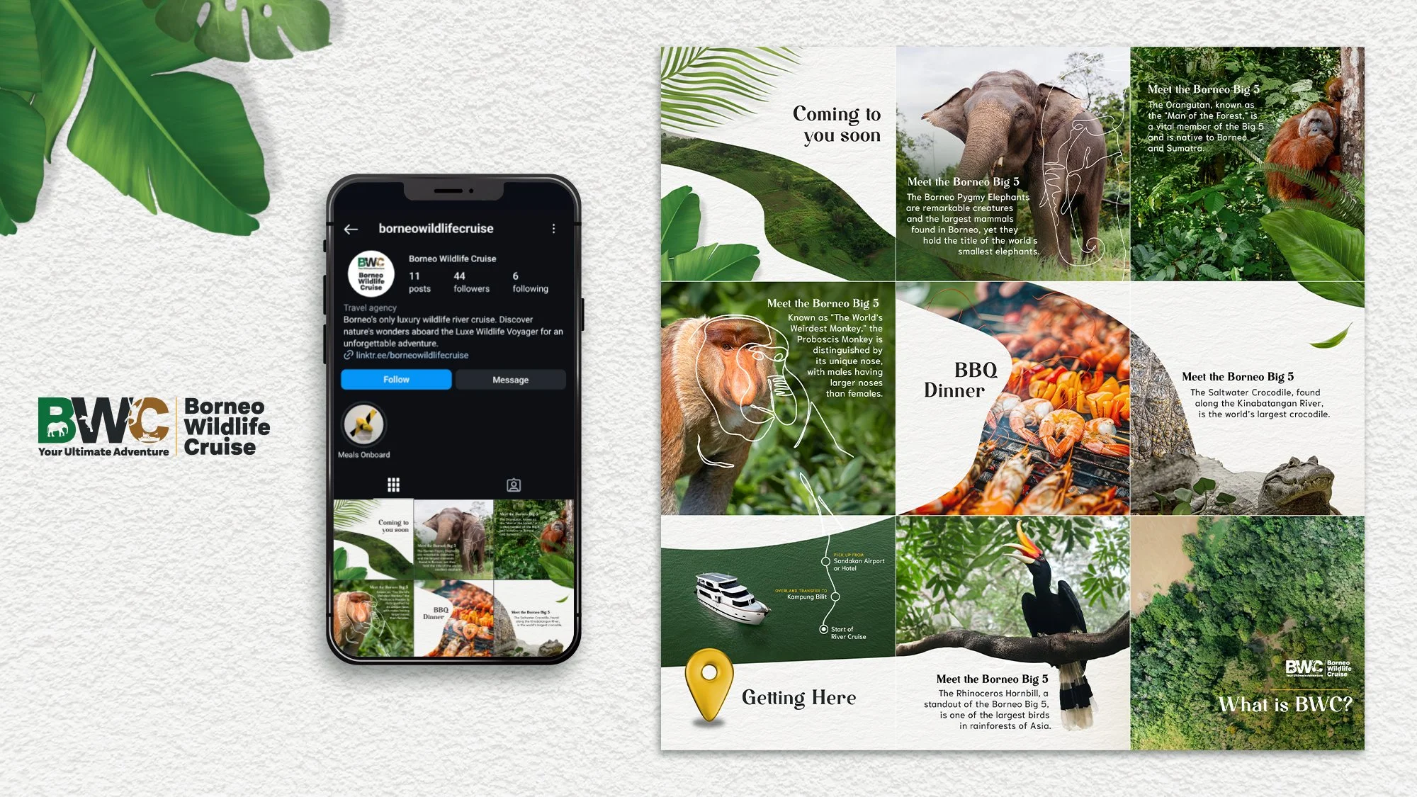 Borneo Wildlife Cruise