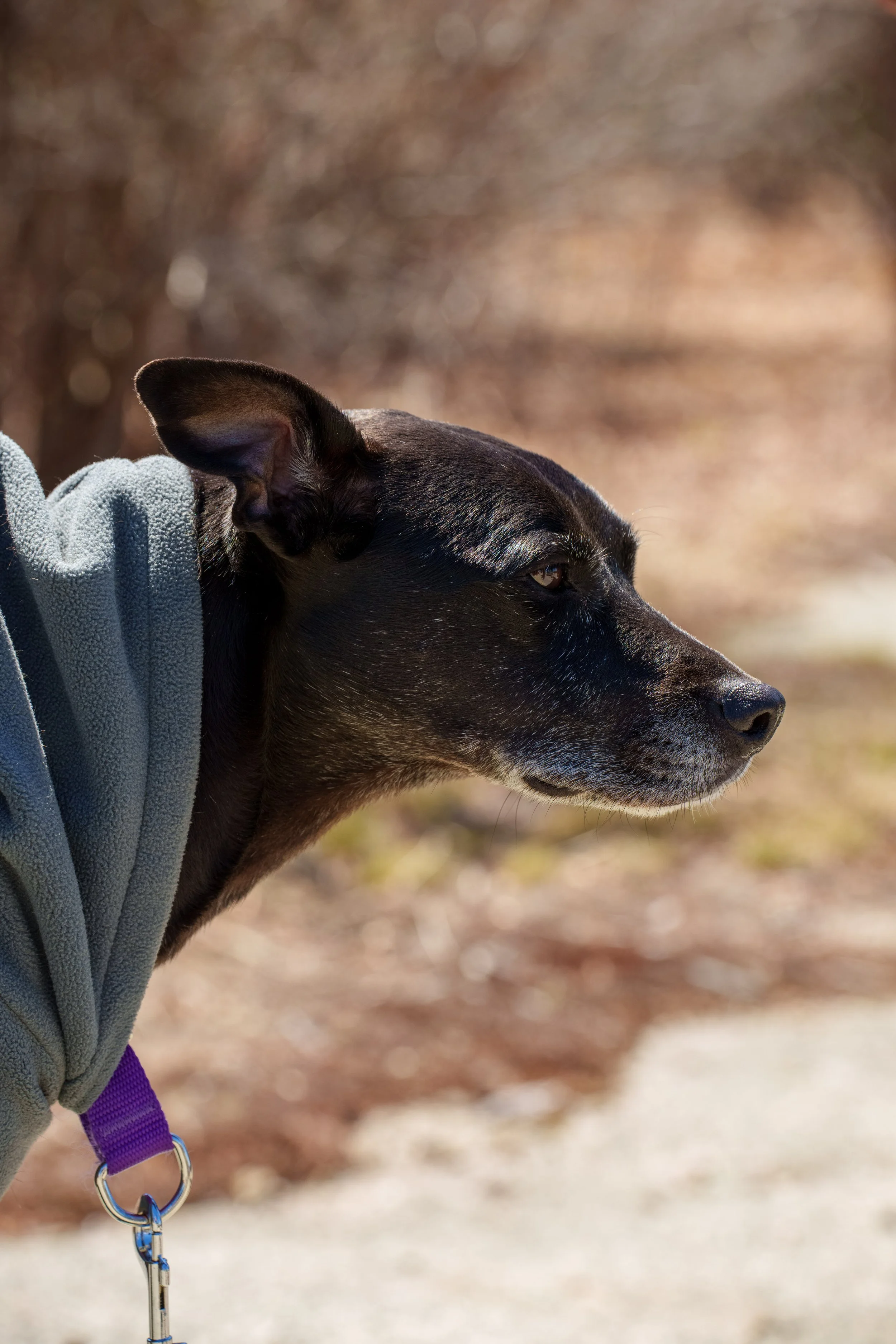 HarrimanStateParkHike-121.jpg