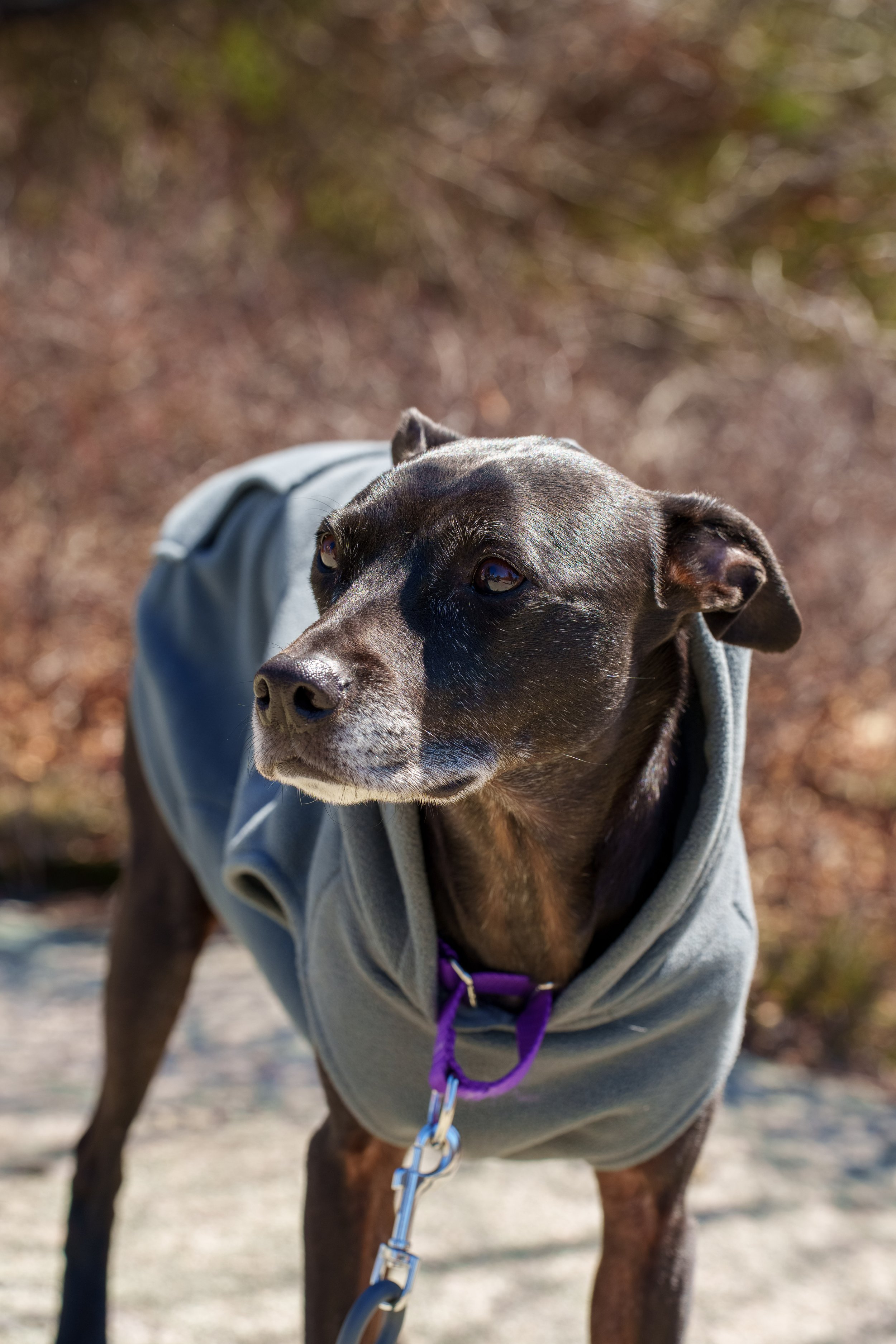 HarrimanStateParkHike-125.jpg