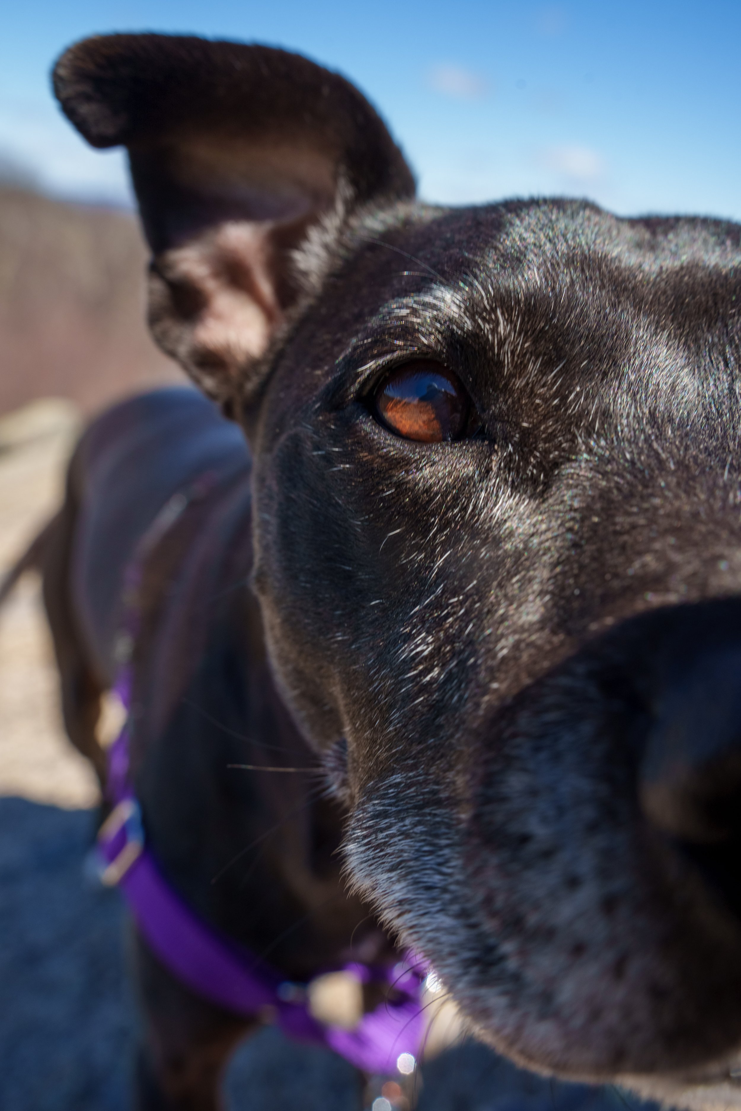 HarrimanStateParkHike-115.jpg