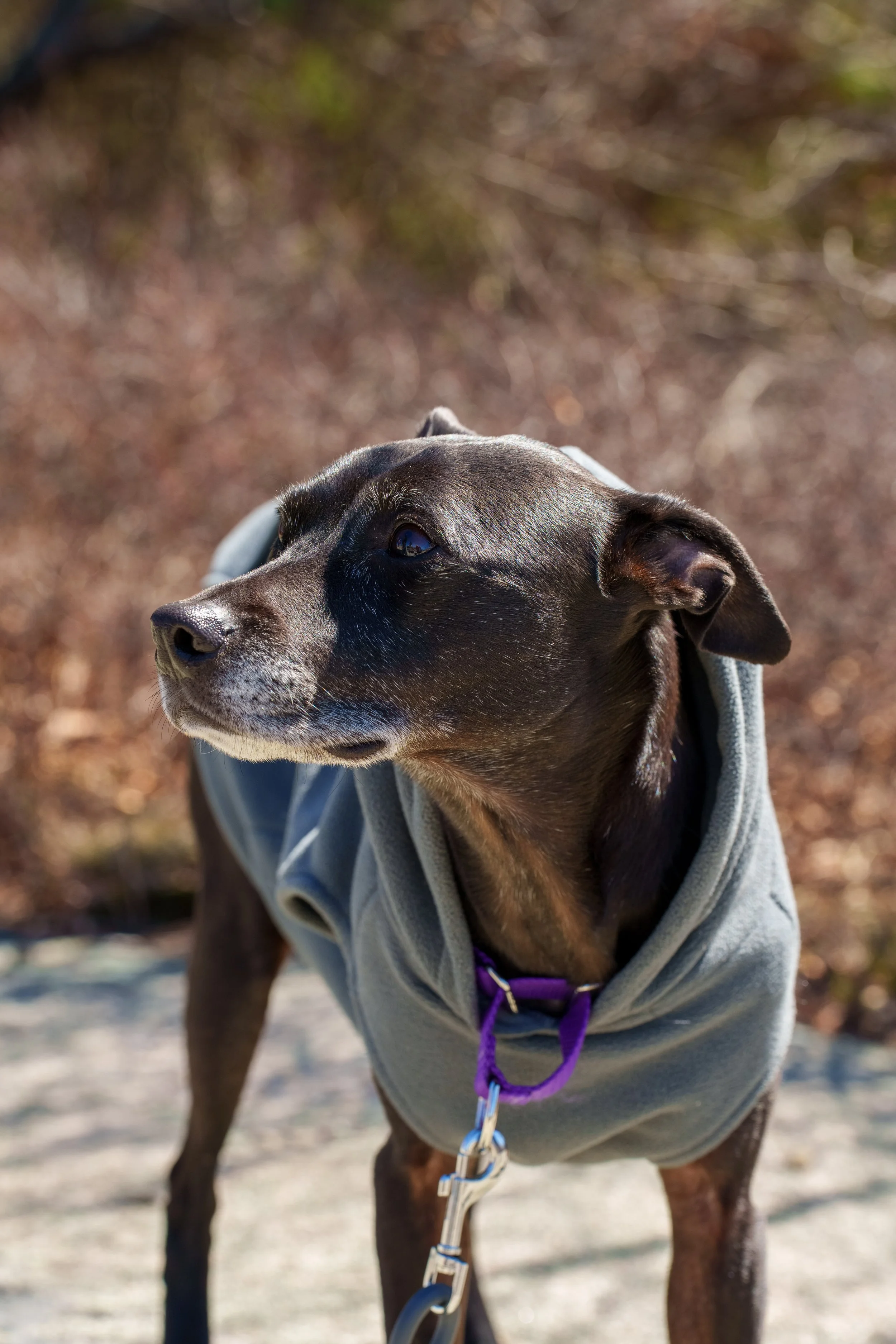 HarrimanStateParkHike-124.jpg