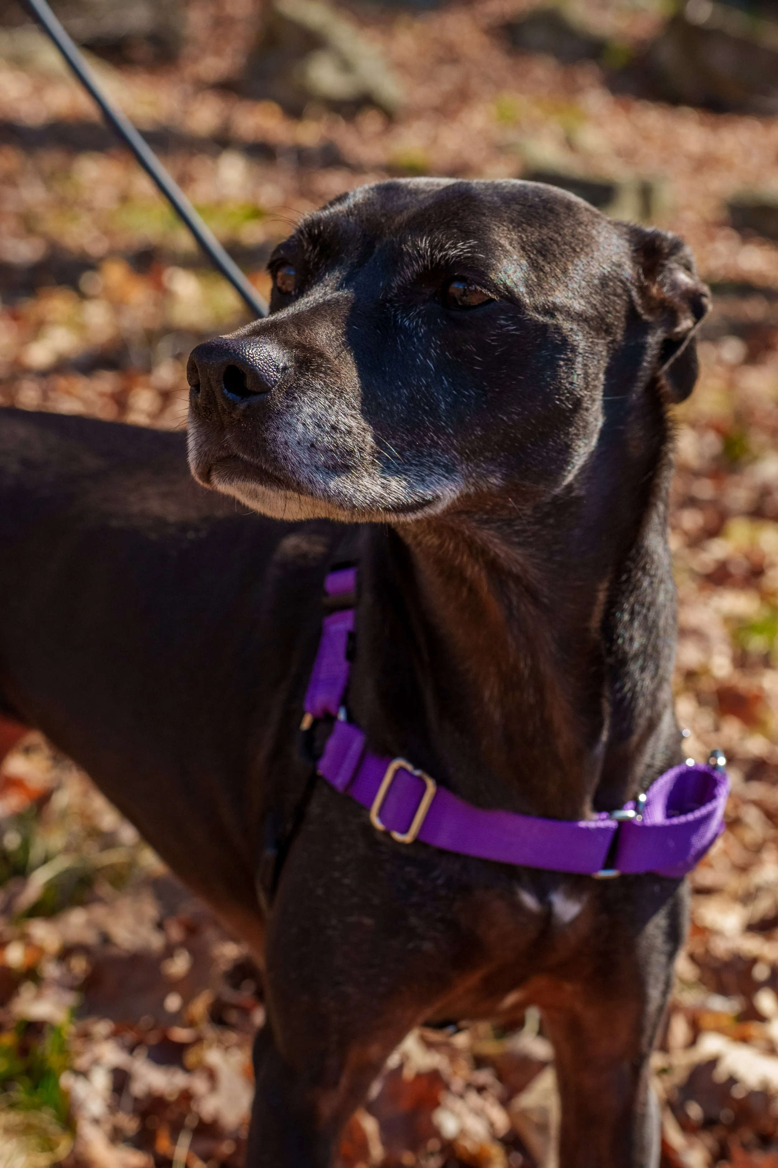 HarrimanStateParkHike-46.jpg