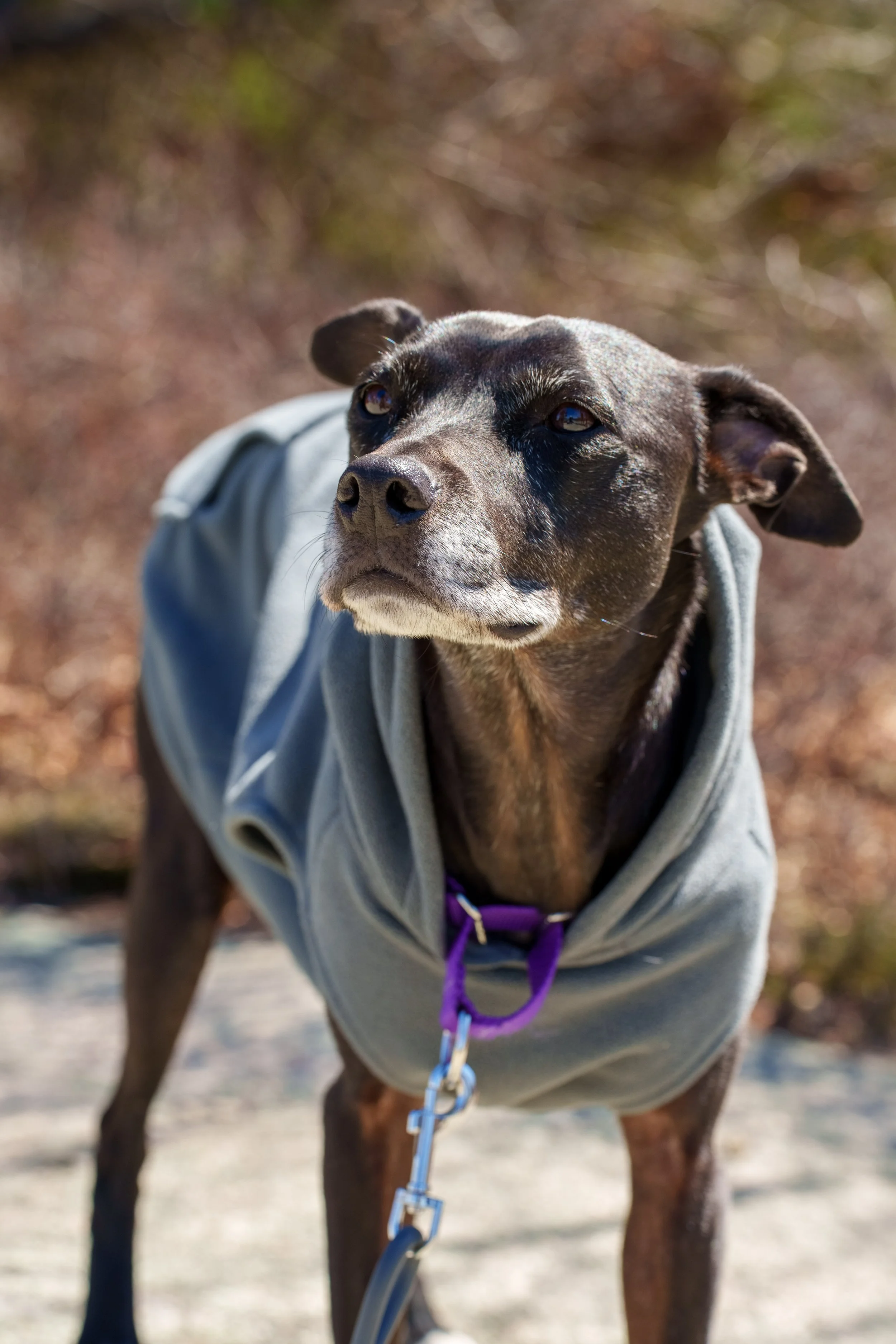 HarrimanStateParkHike-126.jpg
