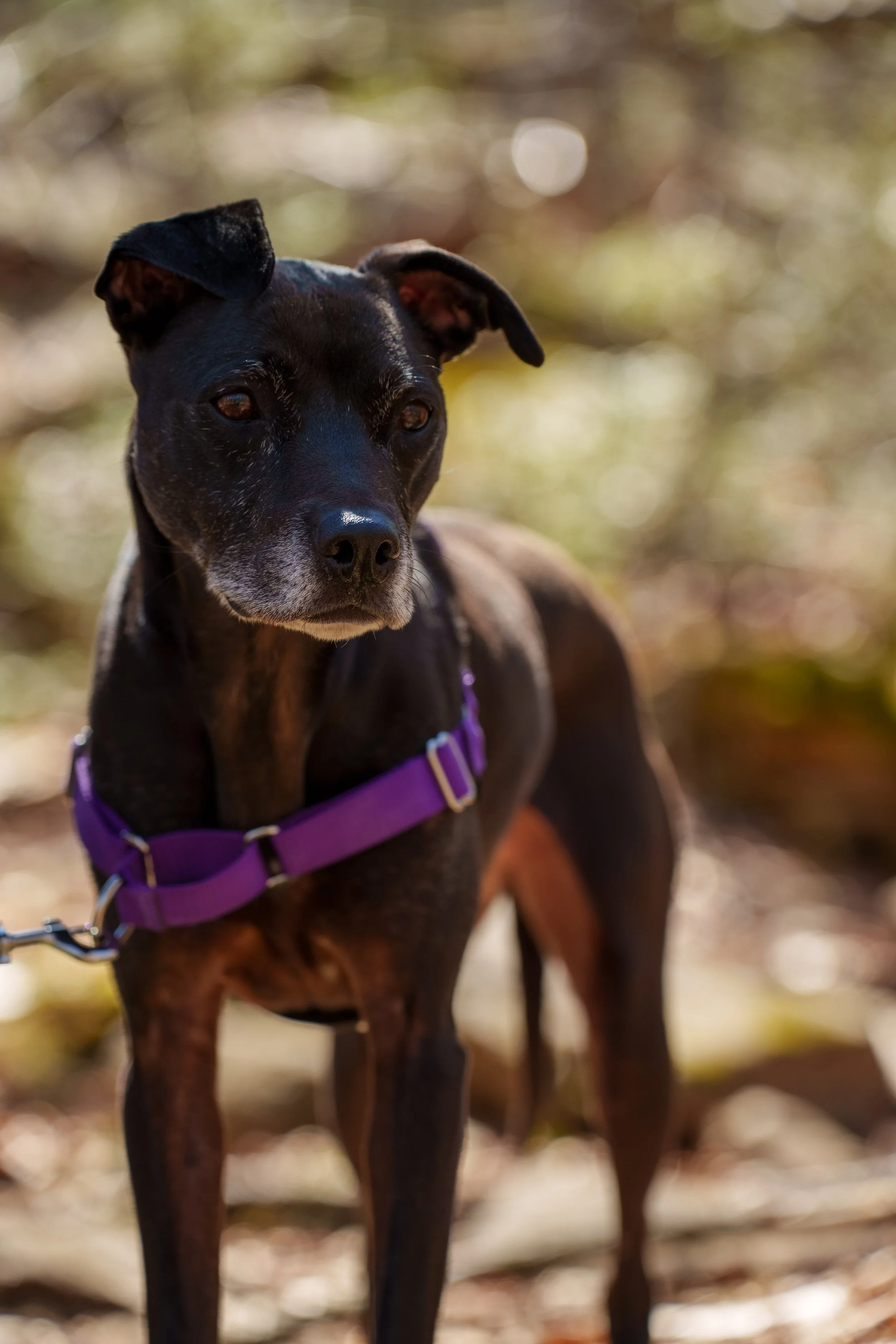 HarrimanStateParkHike-104.jpg