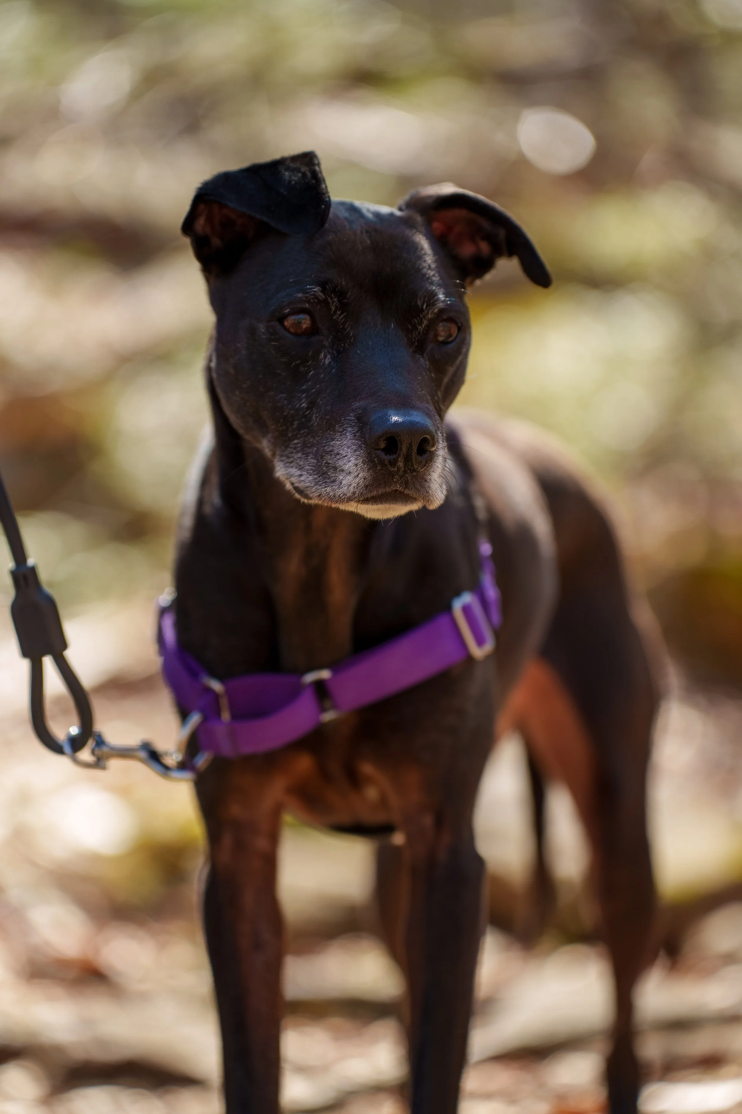 HarrimanStateParkHike-105.jpg