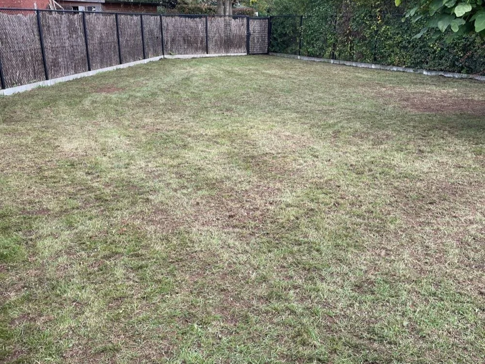 Een ruw, grasveld met een houten erf aan de achterkant en struiken aan de zijkanten.