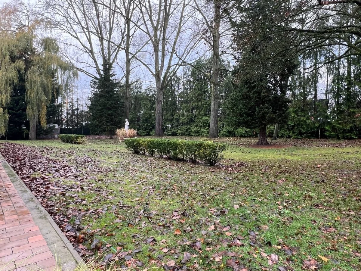 herfst winter bladeren opriumen