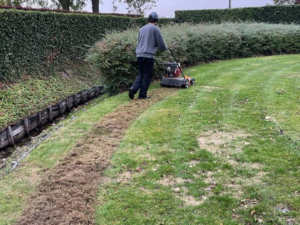 Man rijdt met een  verticuteermachine op een grasveld langs een haag, met een uitgehaald stuk gras.