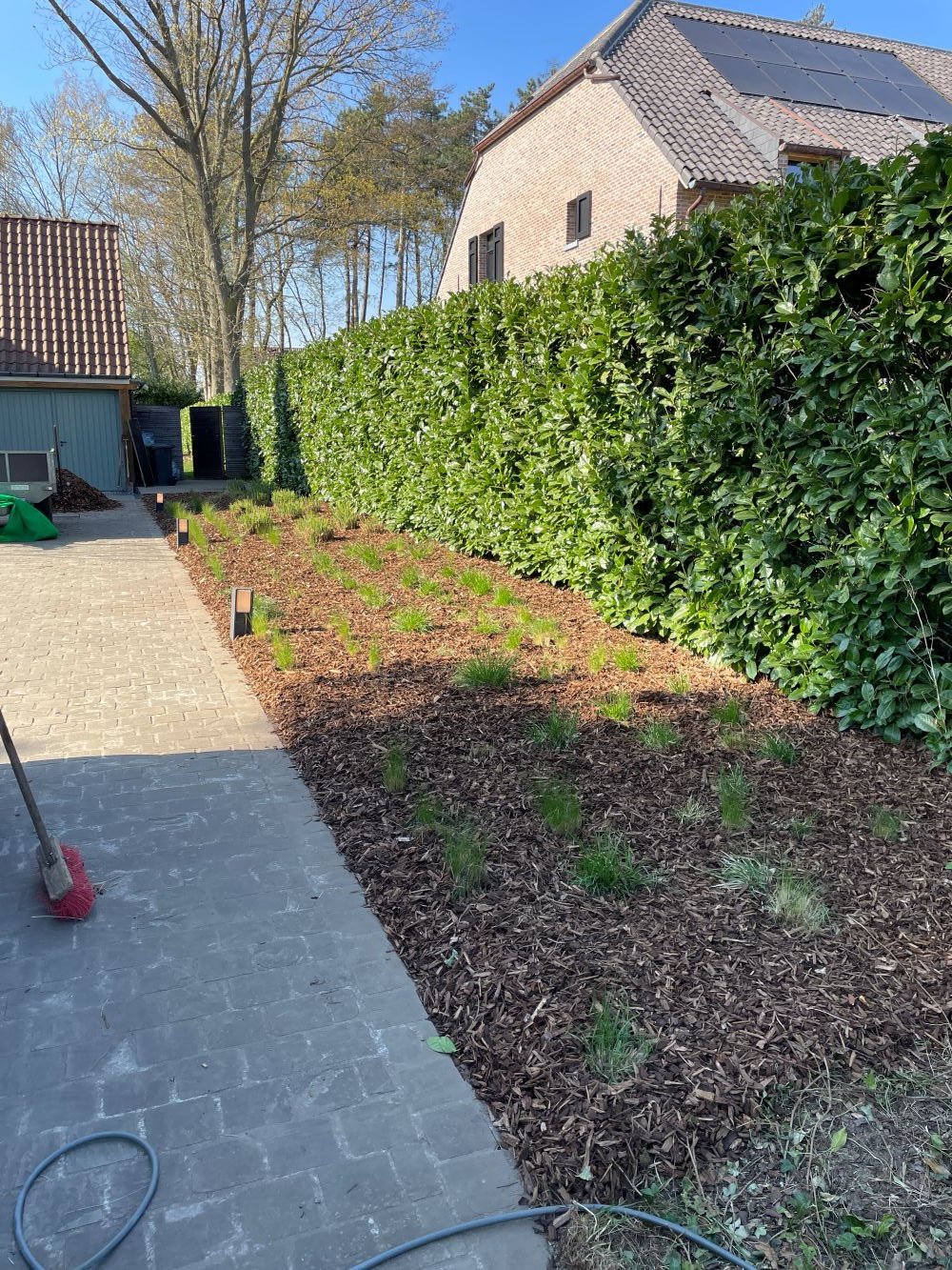 Een tuin met een betegeld pad, een schors bodembedekking met jonge planten en een hoge groene heg langs een huis met zonnepanelen op het dak.
