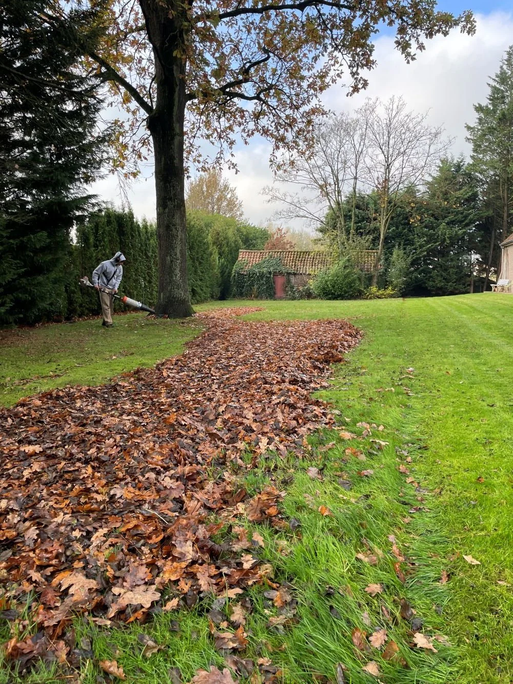 Persoon die bladeren met een bladblazer opruimt op een voorjaarsdag in een tuin met veel bomen en een gazon.