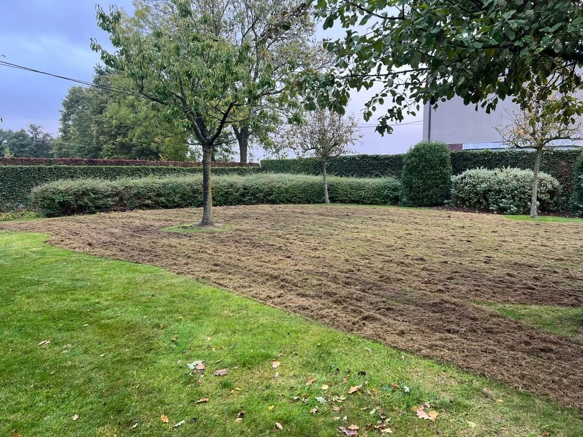 diepgaand gazononderhoud