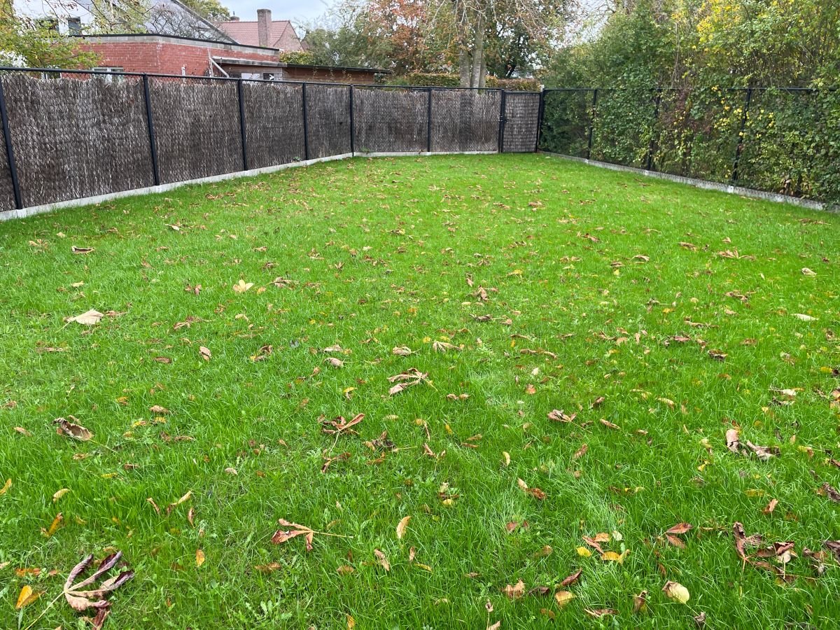 Een groene tuin met gras en een omheining van zwart gaas, met herfstbladeren op de grond en bomen op de achtergrond.