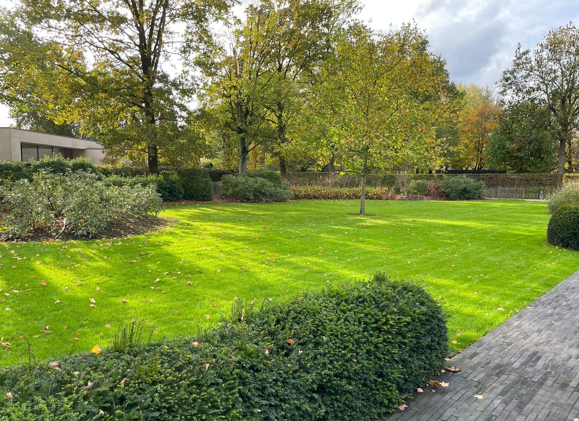 Gezond, groen gazon met strakke randen