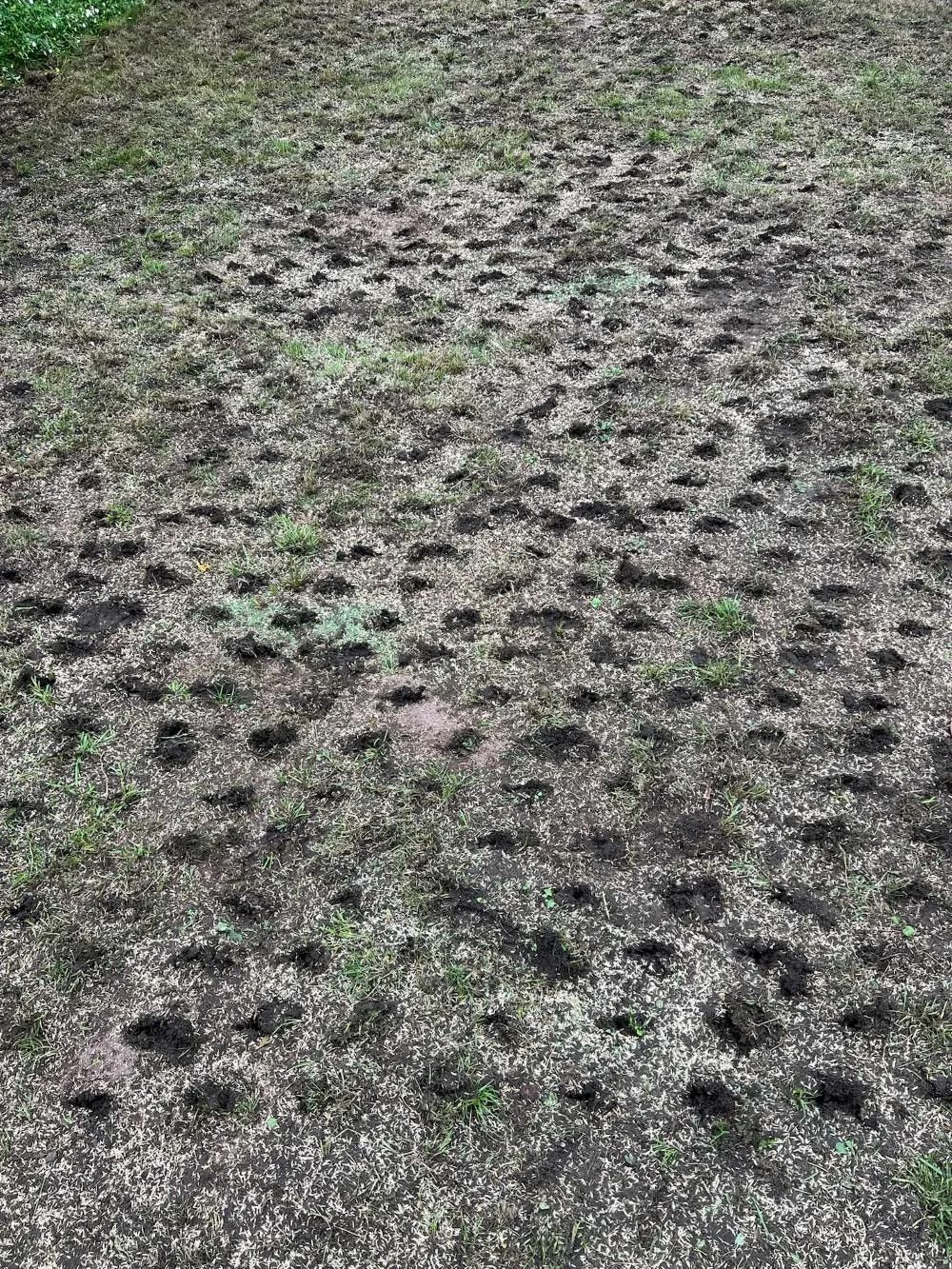holpijpbeluchter aerator op grasveld