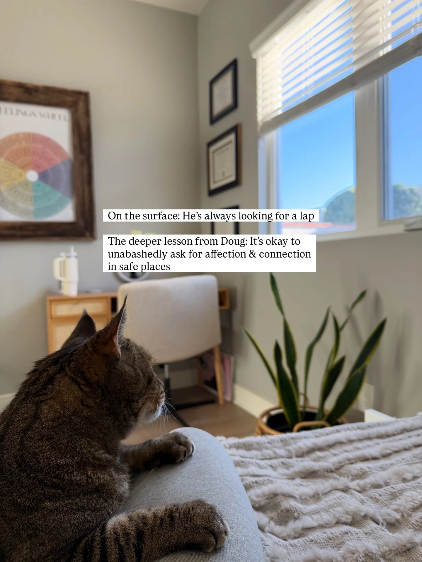 A Lesson From Doug💜🐈

#catsofinstagram #therapy