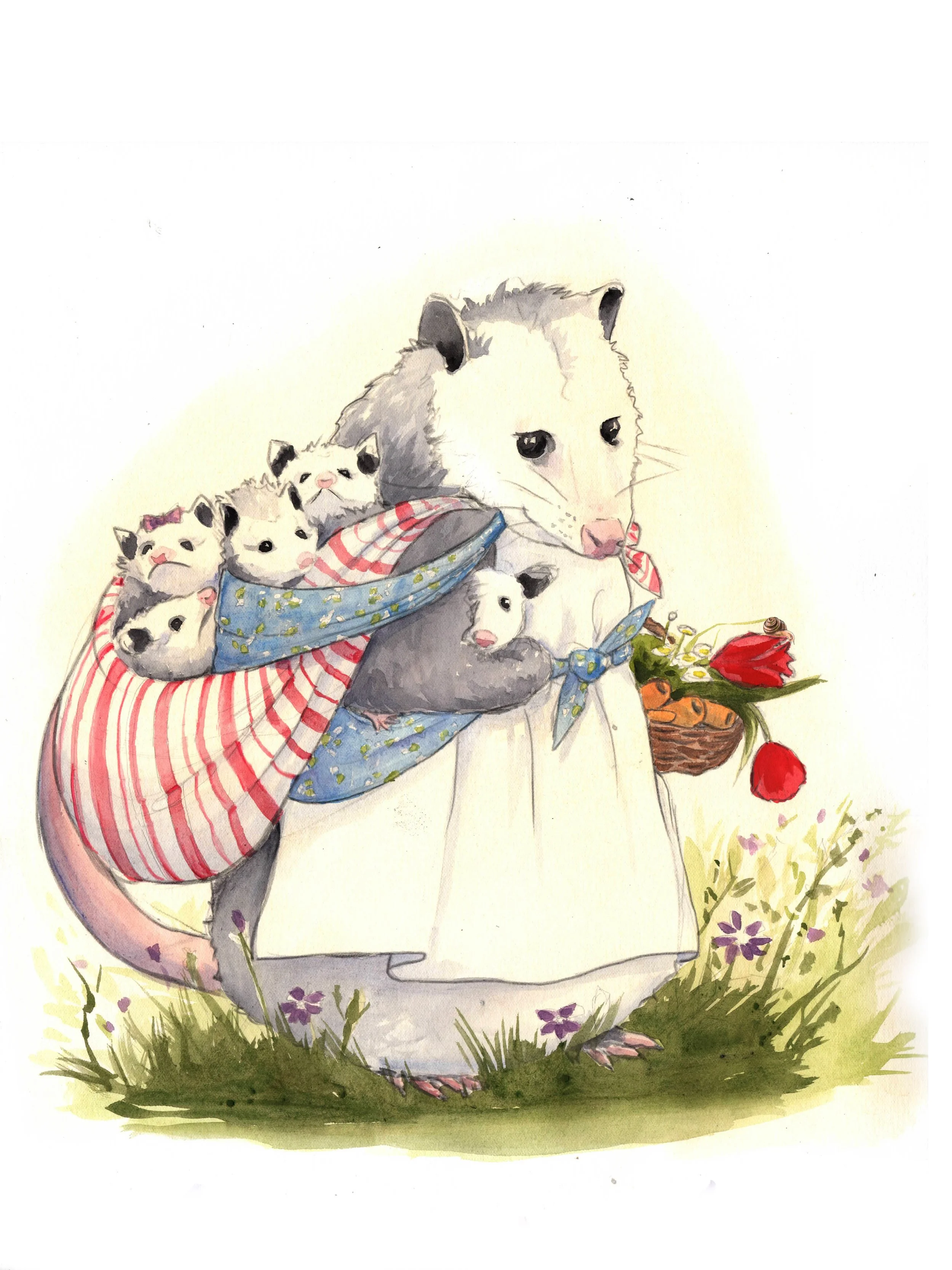 Opossum 1.jpeg