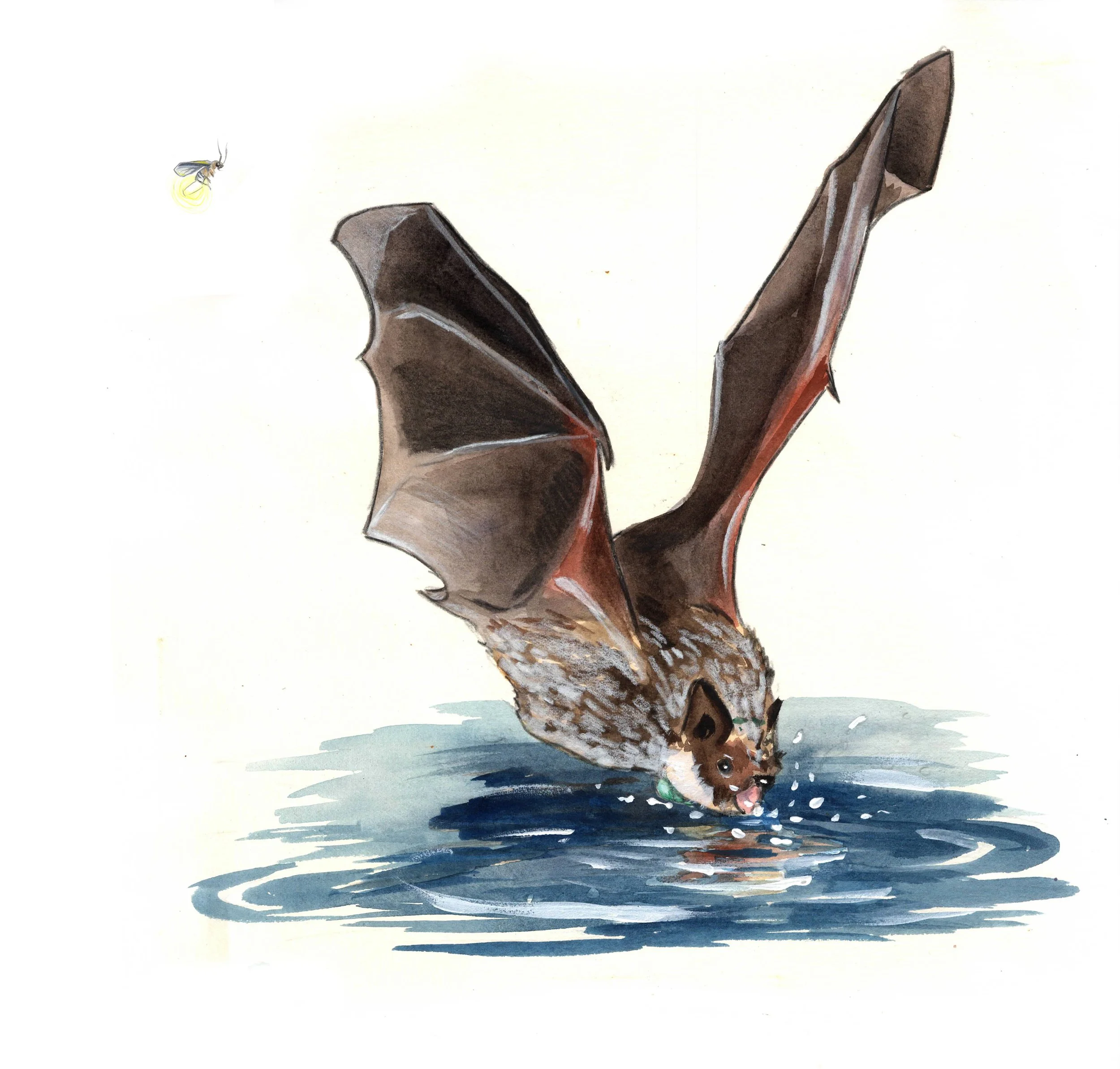Benjamin Bat - Cover image.jpg