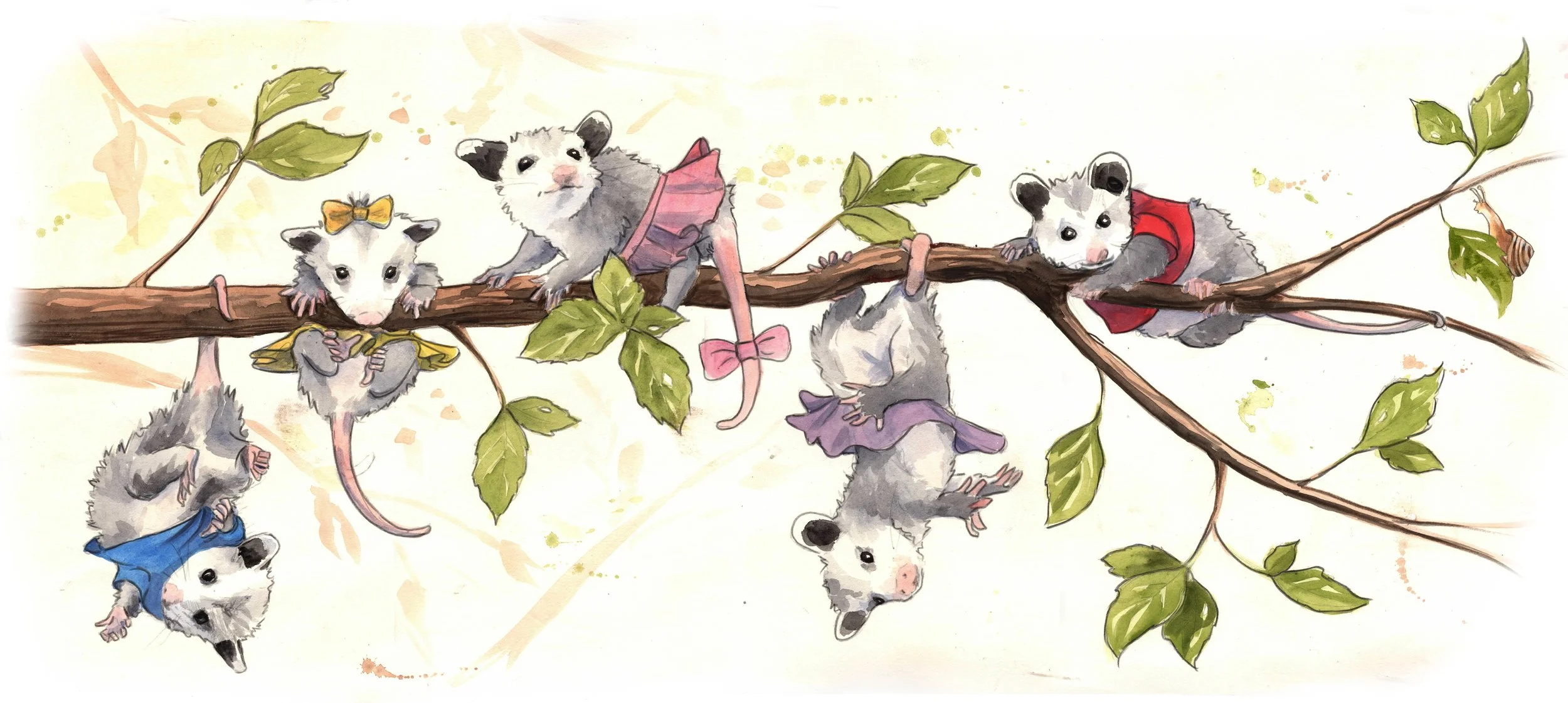 opossum 2.jpeg