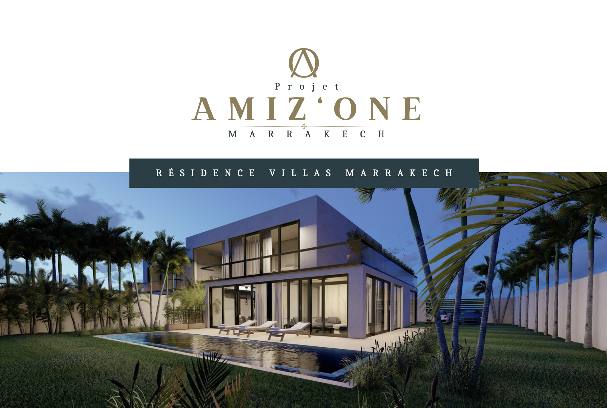Brochure 1