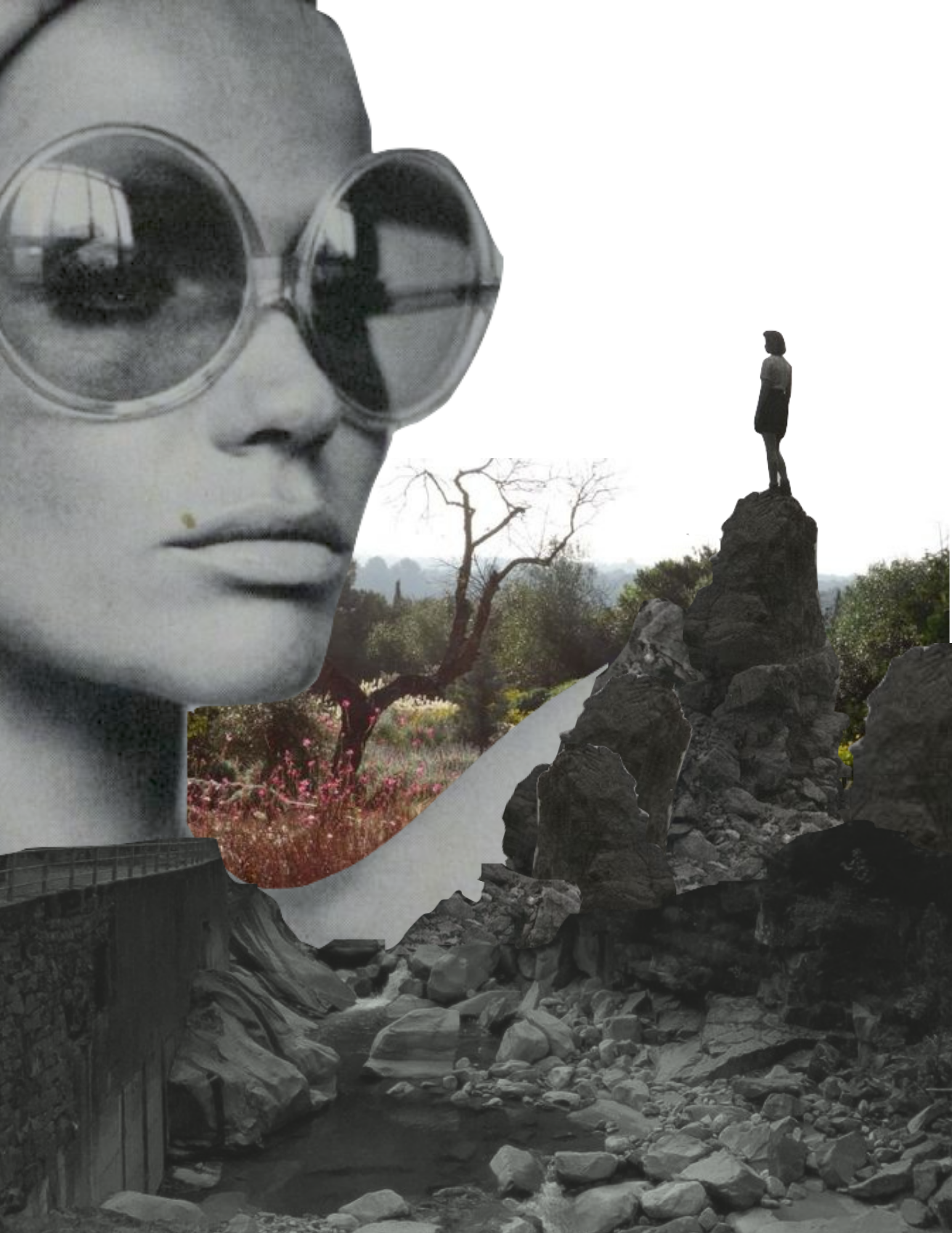 Graphic design I made on Canva.