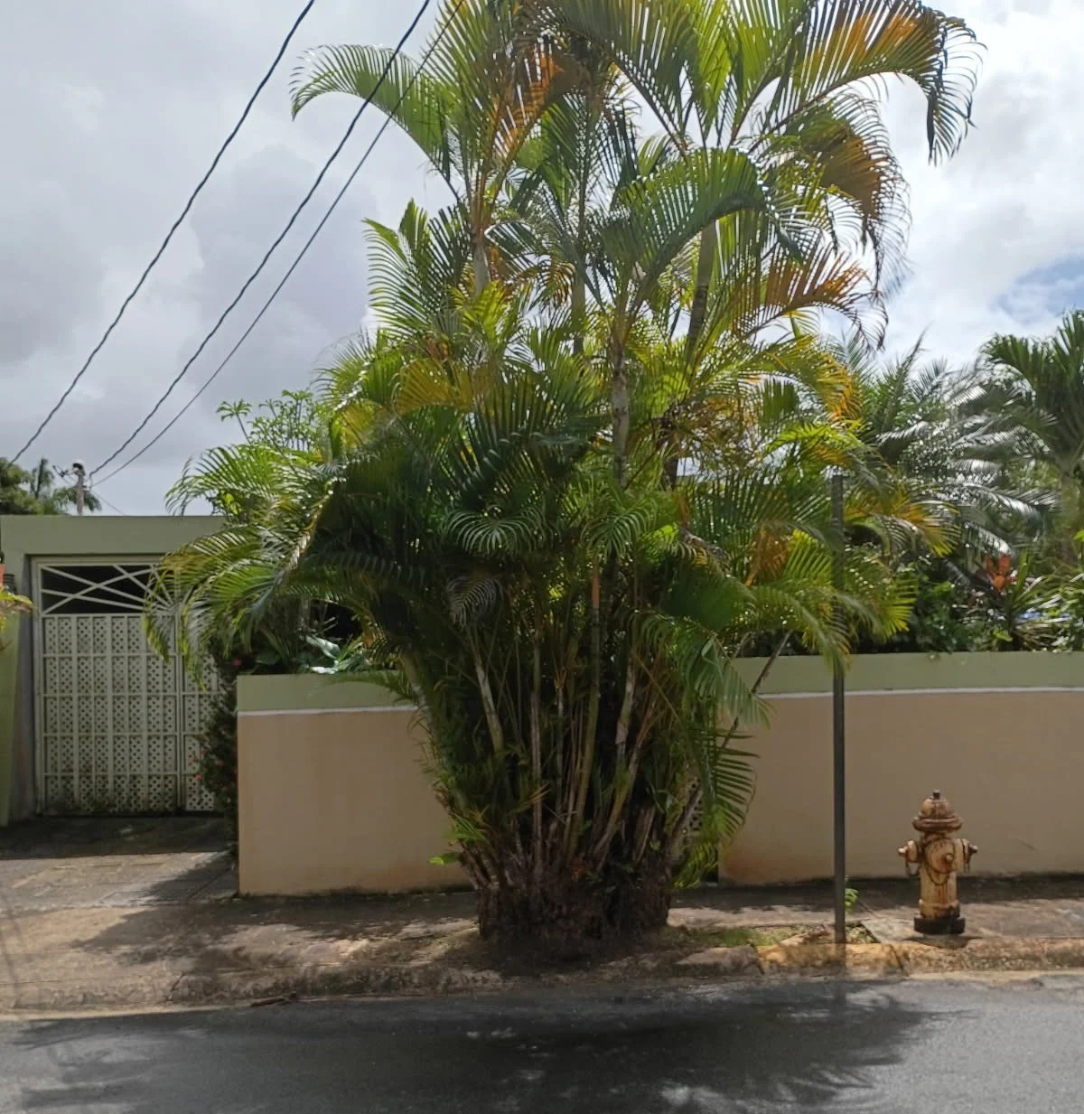 Casa en Venta Trujillo Alto.JPG