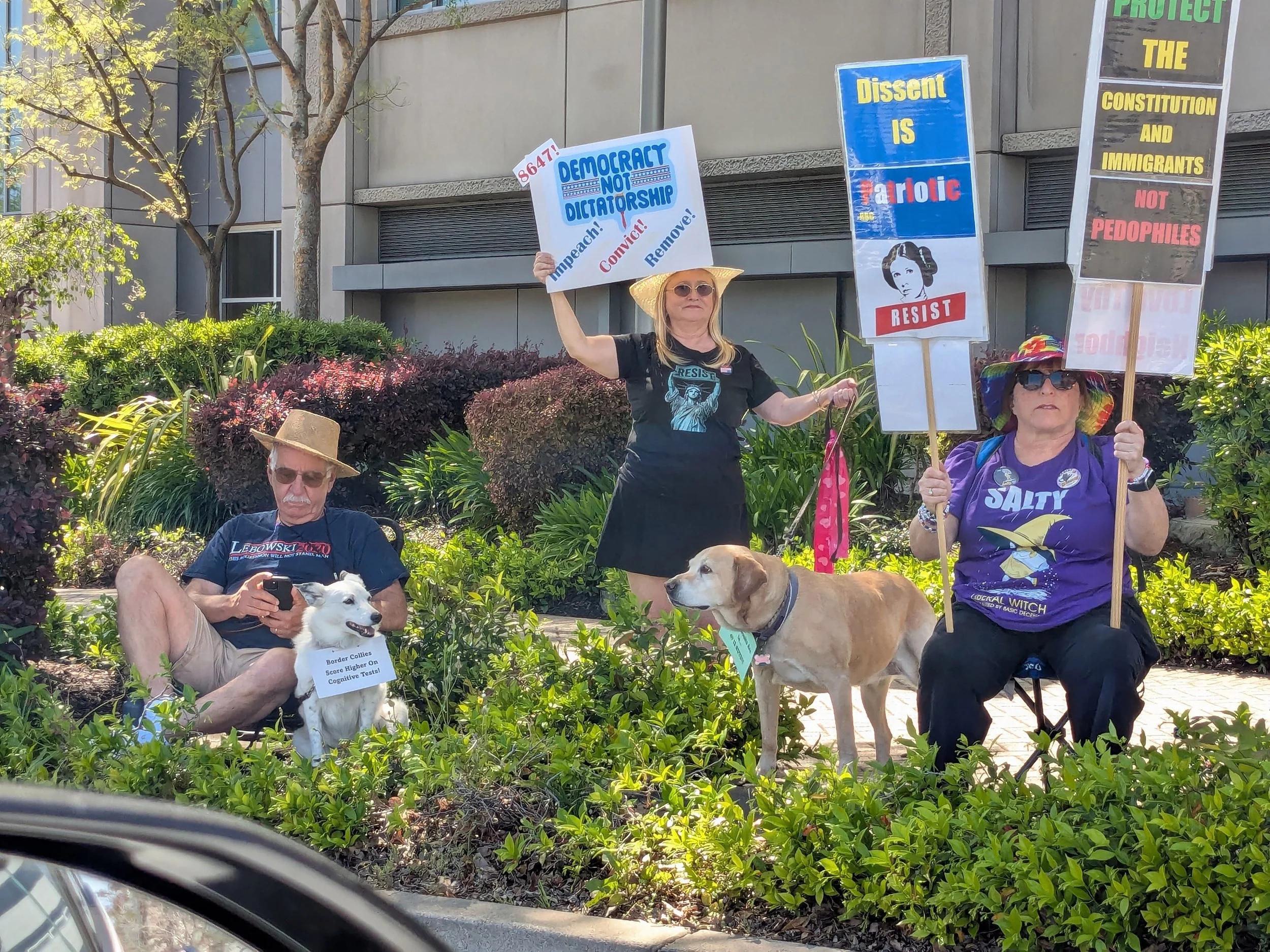 Solidarity Span demonstrators, Walnut Creek - Lisa McElroy