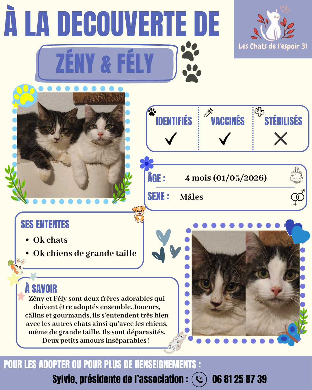 Zény & Fély.png