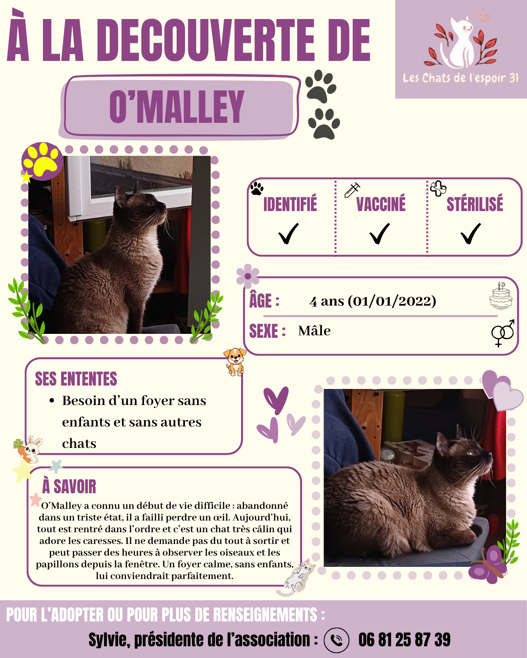 O'Malley.png