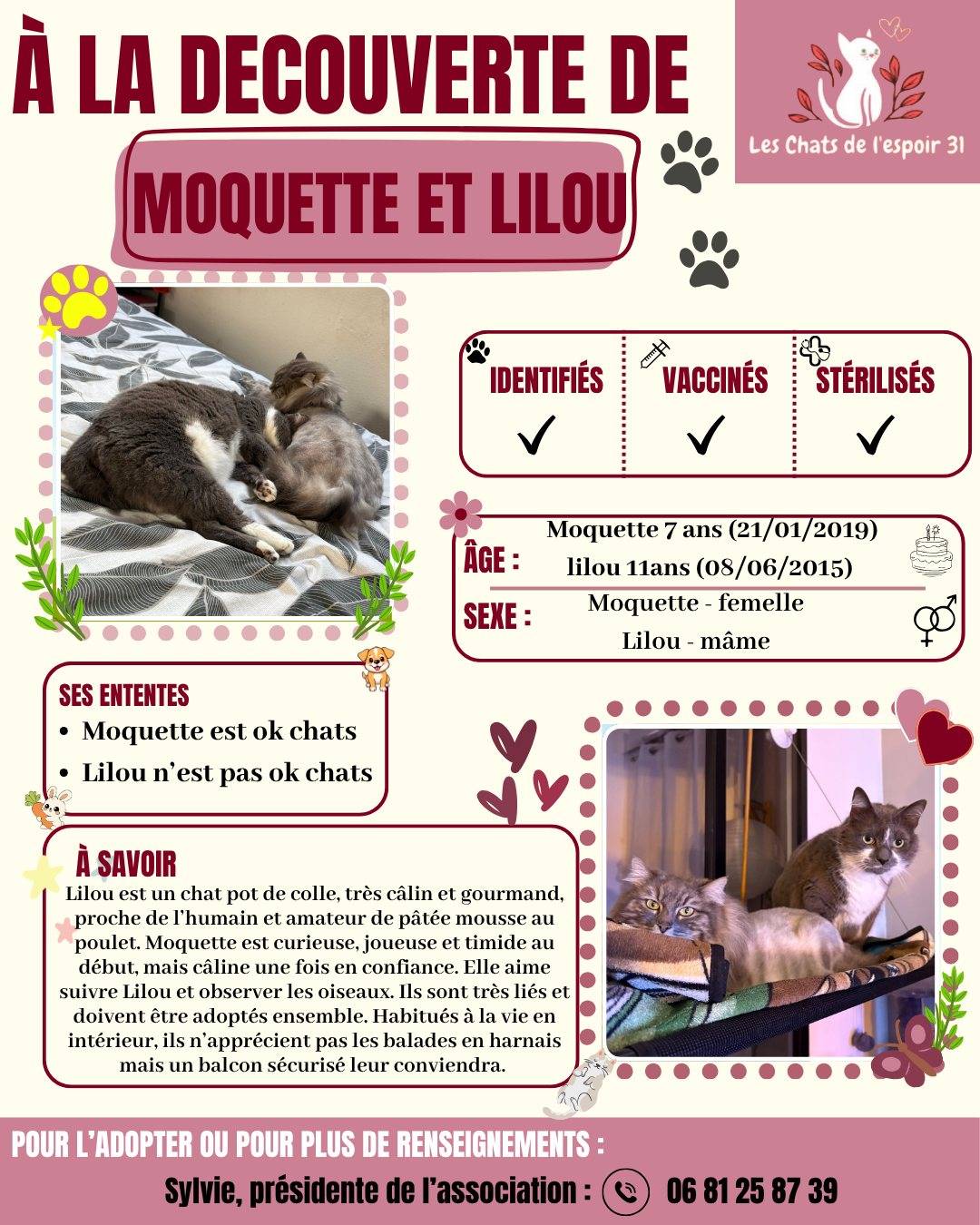 Moquette & Lilou.png