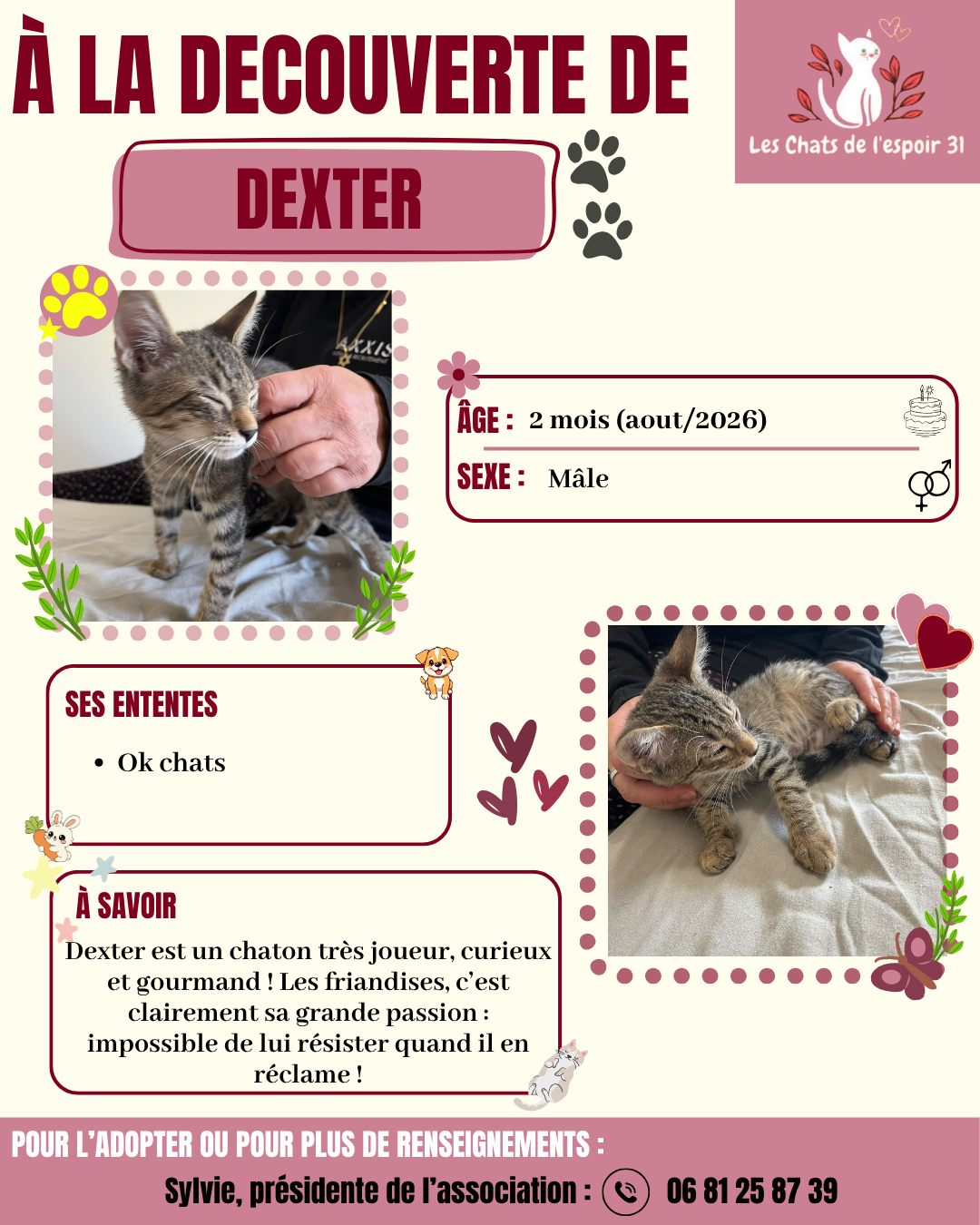 Dexter.png