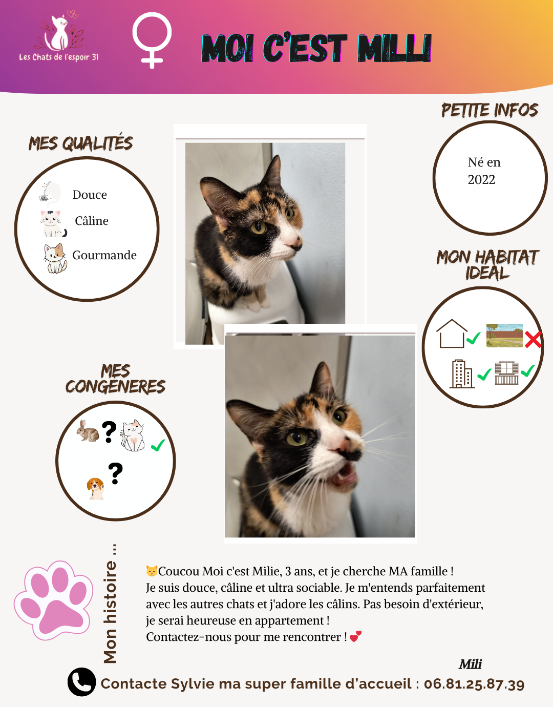 Affiche décrivant une chatte nommée Milie, 3 ans, avec deux photos d'elle - une debout sur un meuble et l'autre avec la bouche ouverte. Informations sur ses qualités, ses congénères préférés, ses petites infos, son habitat idéal, et une section contact pour l adoption.