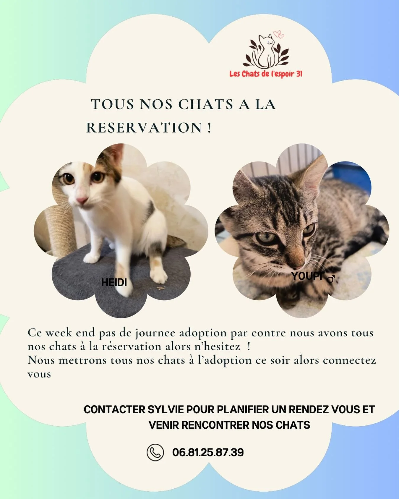 🐾 TOUS NOS CHATS SONT &Agrave; LA R&Eacute;SERVATION ! 🐾

Ce week-end, il n&rsquo;y aura pas de journ&eacute;e adoption, mais&hellip;
✨ Bonne nouvelle : tous nos chats sont &agrave; la r&eacute;servation !
➡️ Connectez-vous ce soir pour d&eacute;co