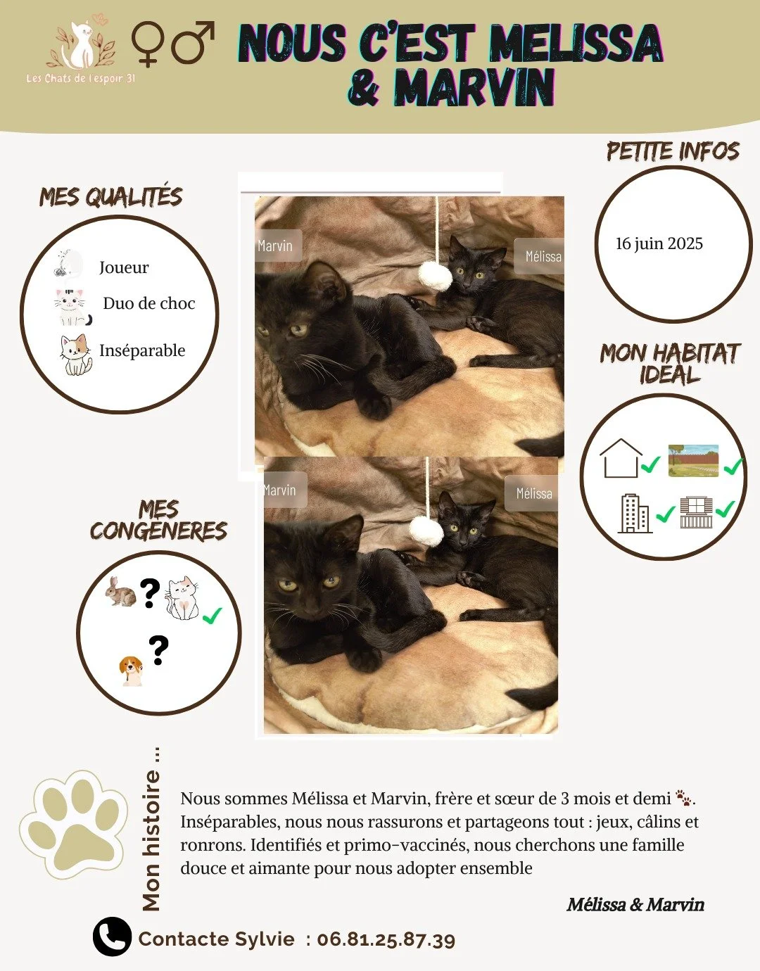 Coucou, nous c&rsquo;est M&eacute;lissa et Marvin 🖤🐾 !
Nous avons 3 mois et demi et nous sommes fr&egrave;re et s&oelig;ur. Depuis toujours, nous faisons tout ensemble : jouer, dormir, ronronner et nous rassurer. Notre lien est si fort que nous che