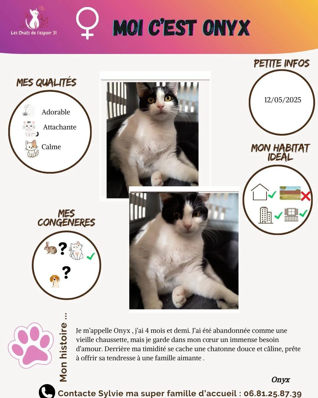 Coucou, moi c&rsquo;est Onyx 🖤 !
&Agrave; seulement 4 mois et demi, j&rsquo;ai d&eacute;j&agrave; connu l&rsquo;abandon&hellip; On m&rsquo;a laiss&eacute;e comme une vieille chaussette, sans importance. Alors oui, je suis encore un peu timide, mais 